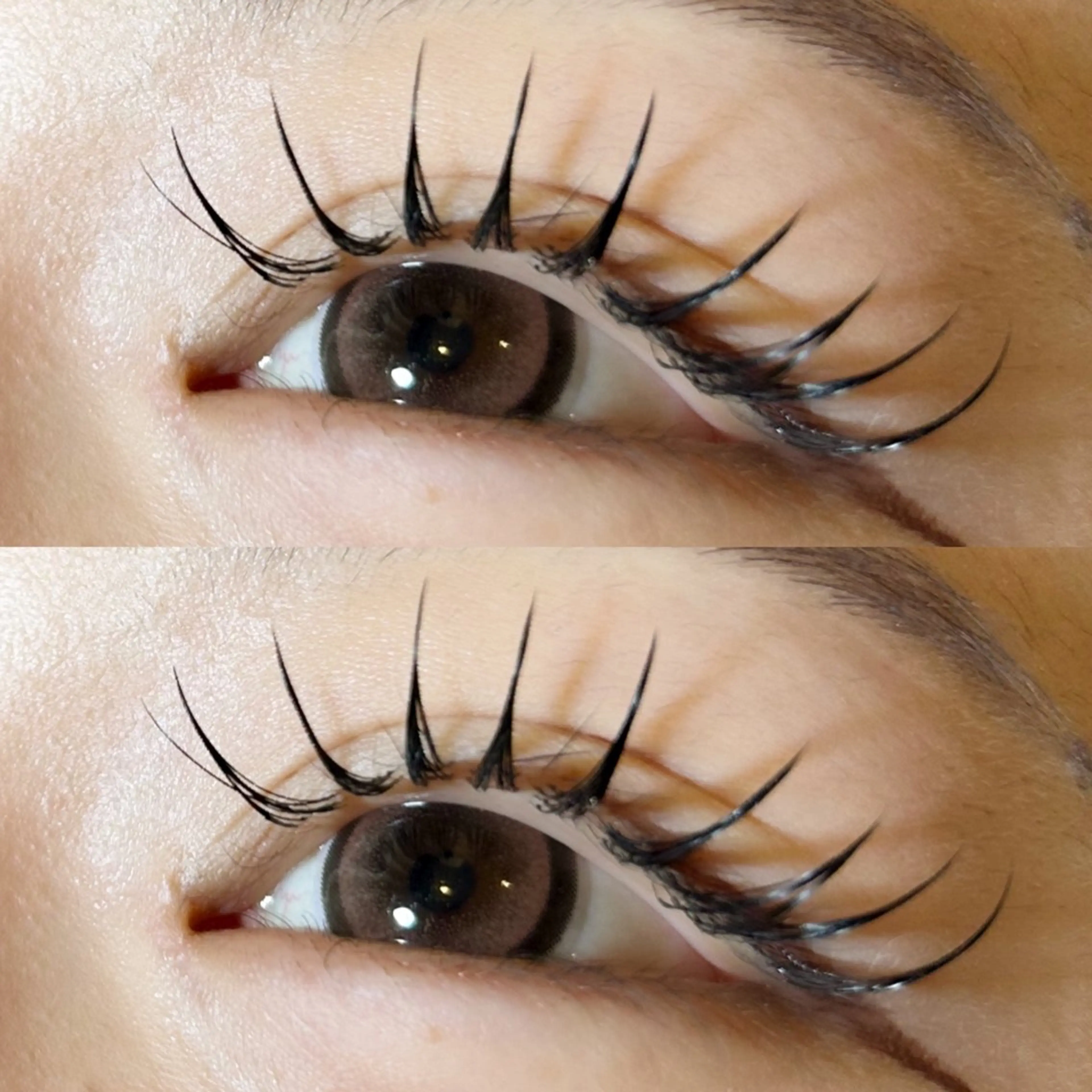 マツエク・マツパ 💘LeCheris s.渋谷店💘の眉毛・アイブロウイメージ