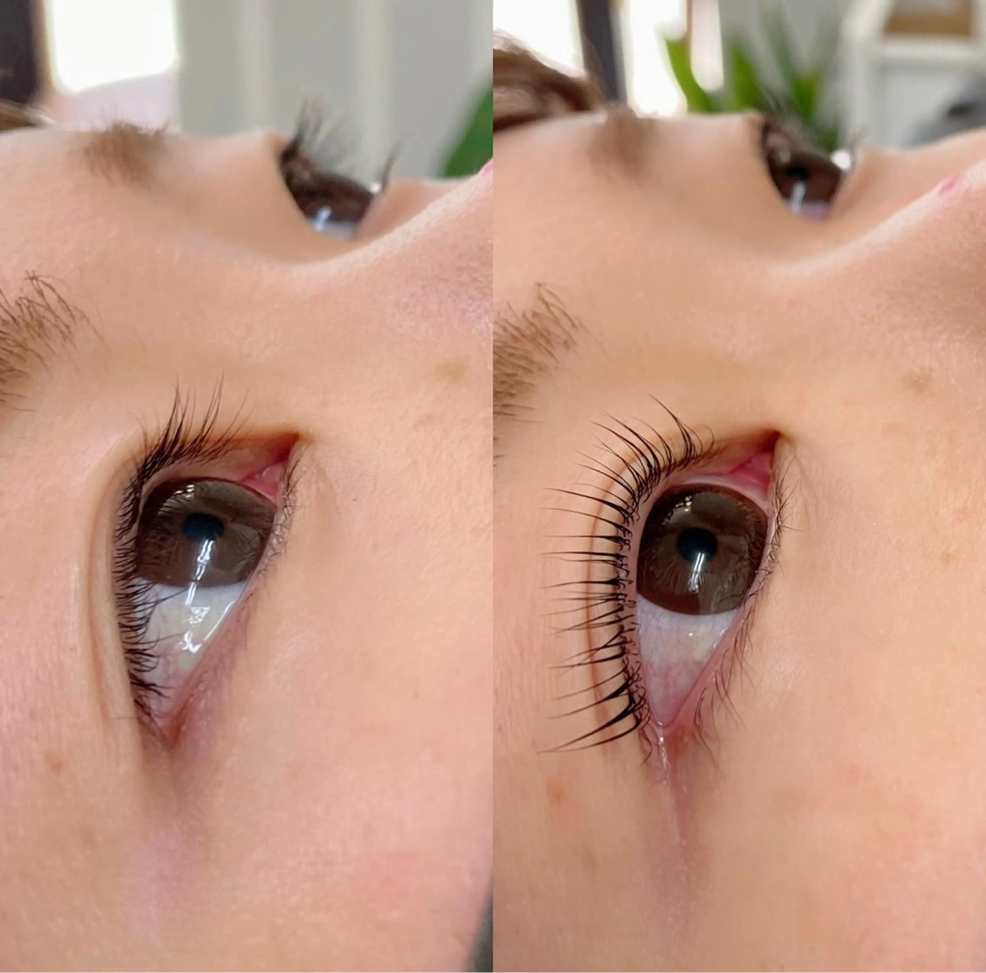 ケラチン導入マツパメニュー🎀の写真