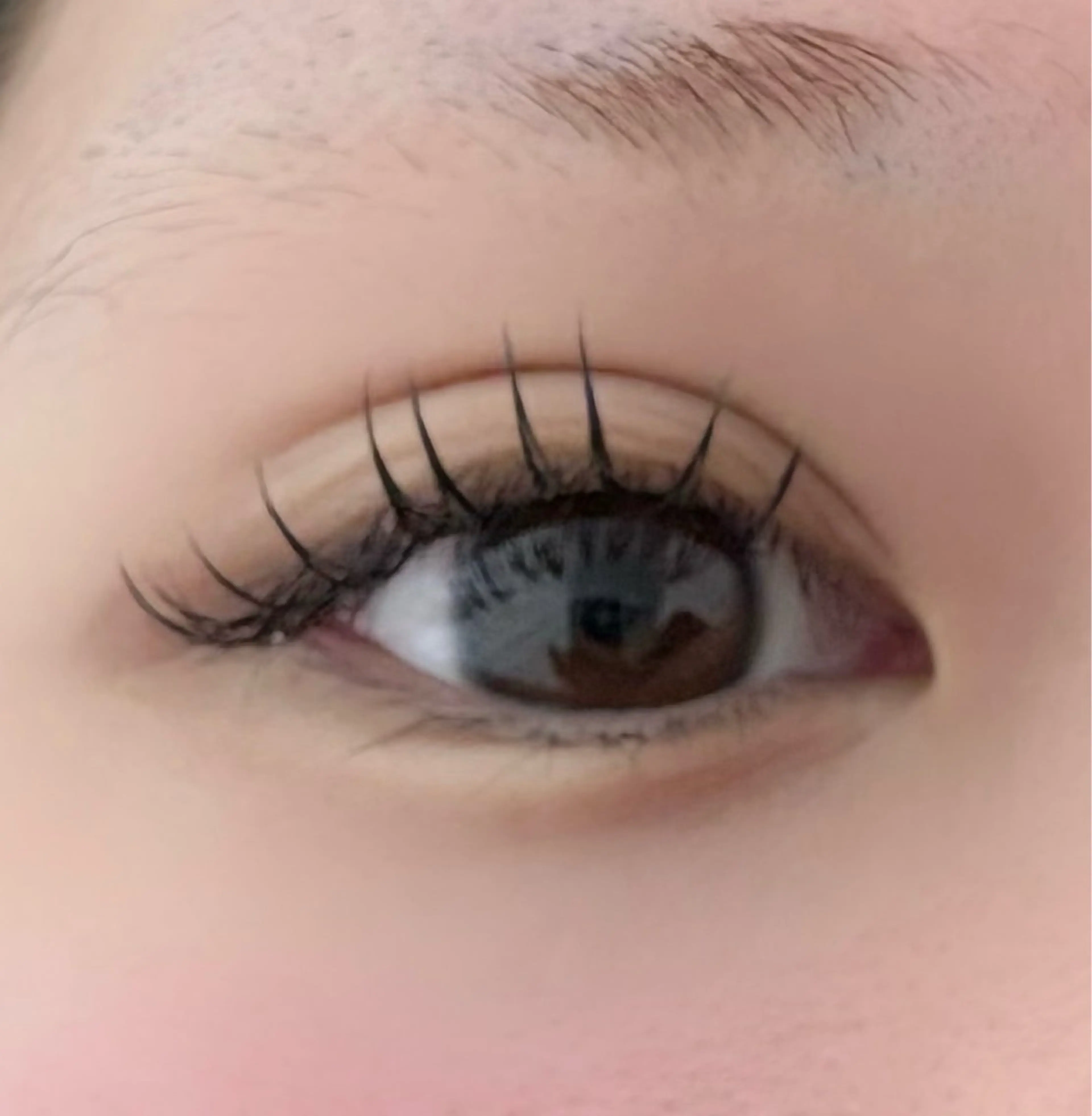 マツエク・マツパ Rimi 深井店 まゆのマツエク・マツパデザイン