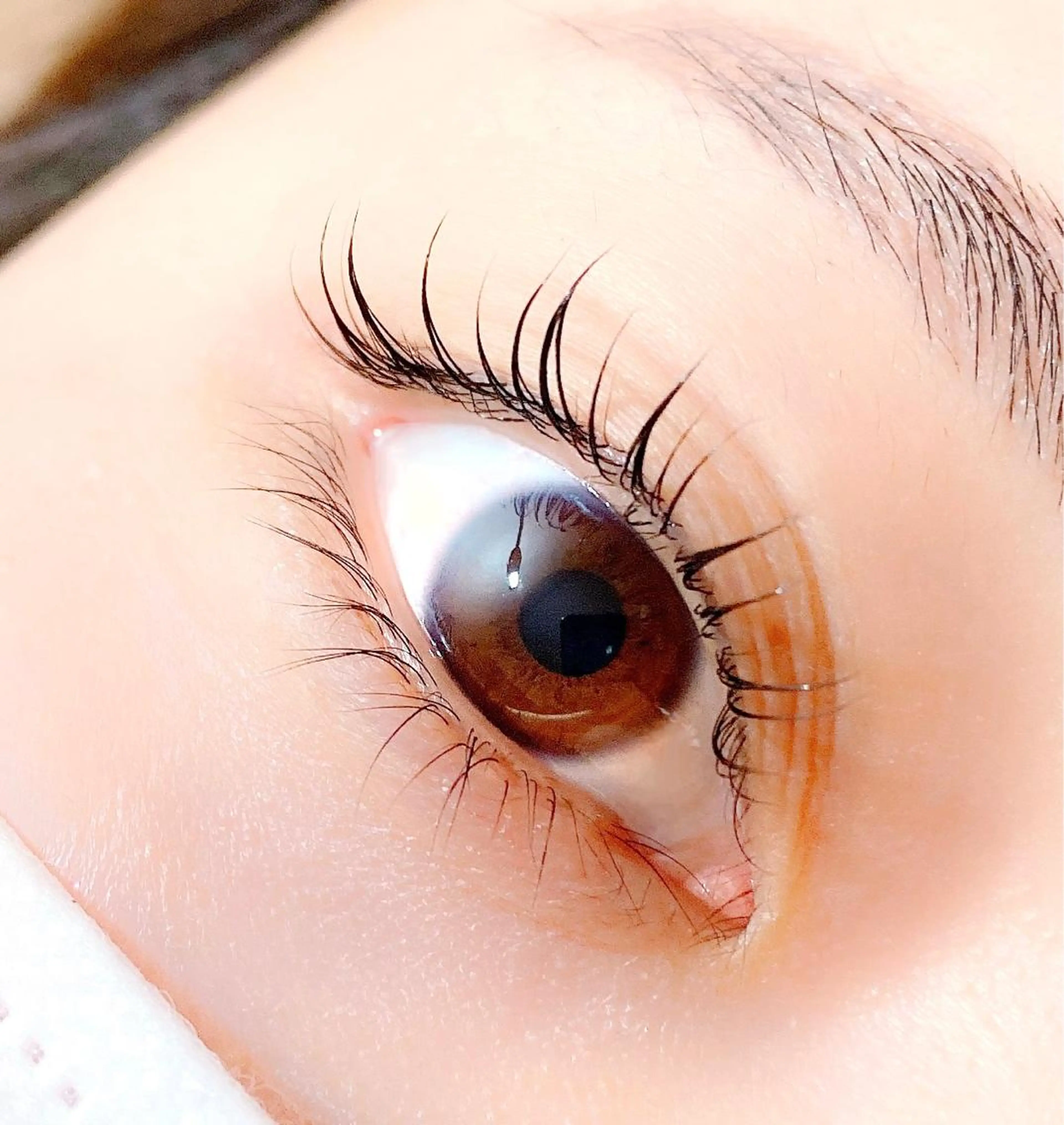 マツエク・マツパ Spica eyelashのマツエク・マツパデザイン