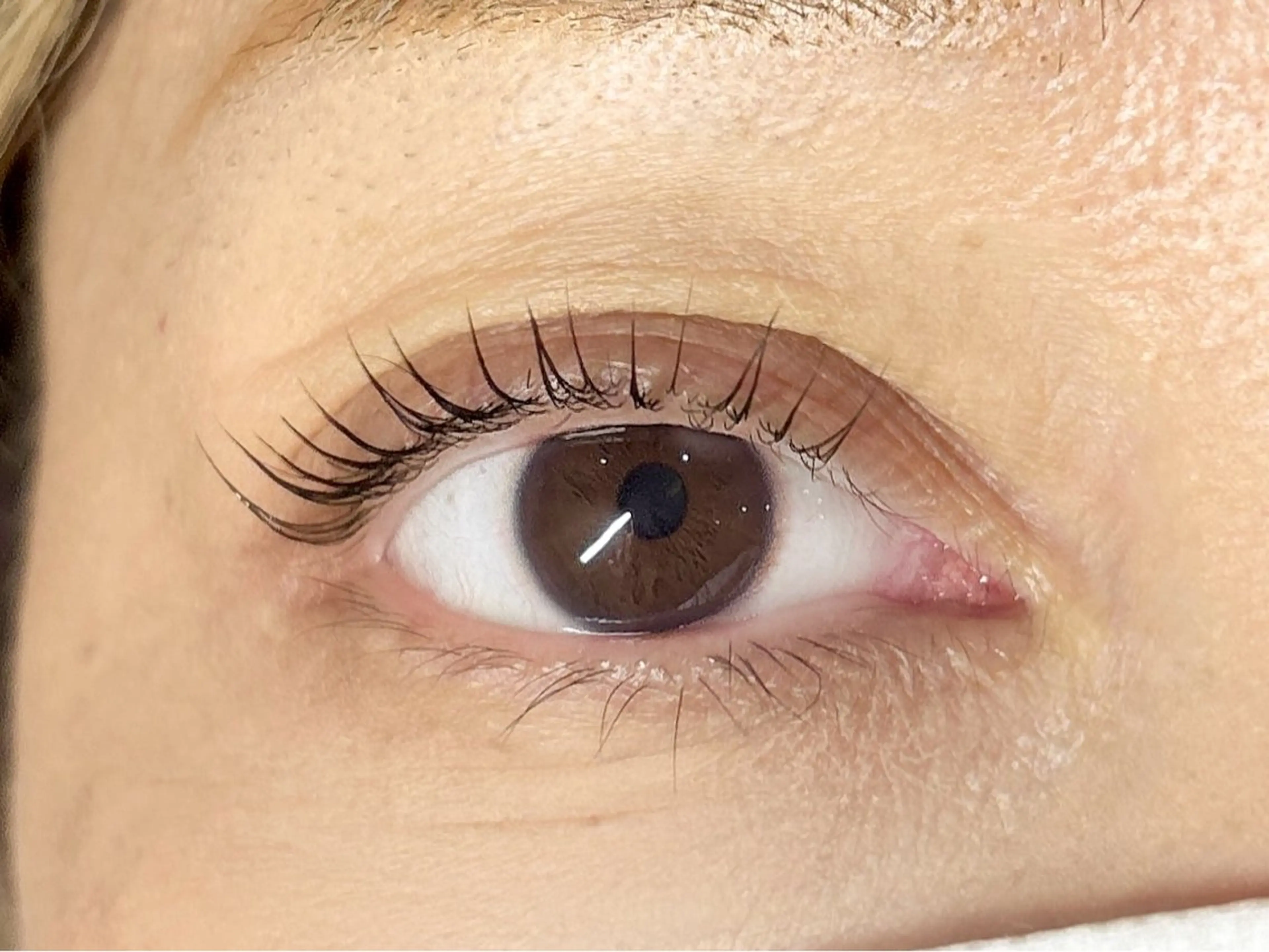 マツエク・マツパ パリジェンヌラッシュリフト マツパ 中村彩香 (エフドゥ)のマツエク・マツパデザイン