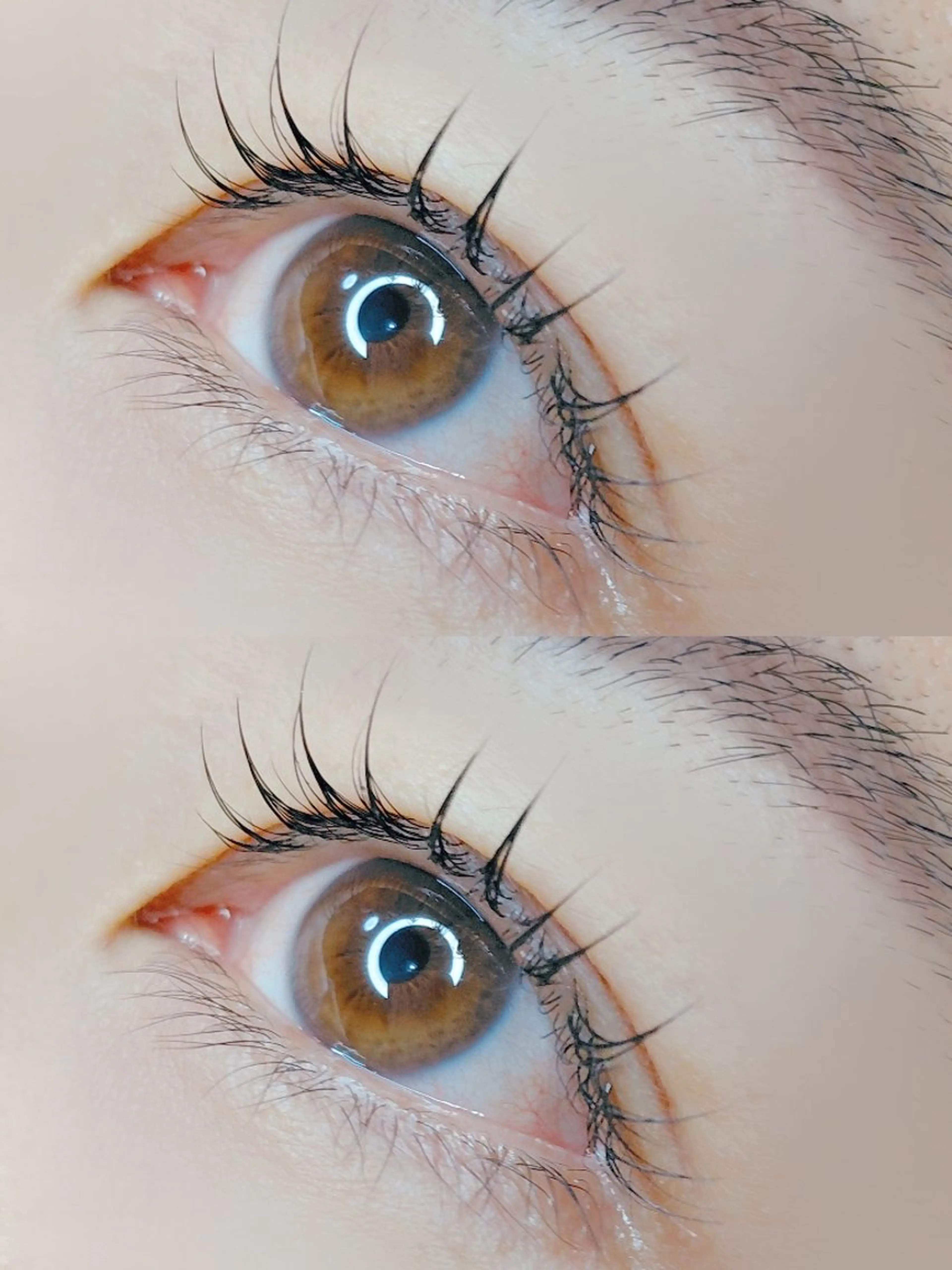 マツエク・マツパ ナチュラル 一重×まつ毛パーマ ワタナベ シイナのマツエク・マツパデザイン