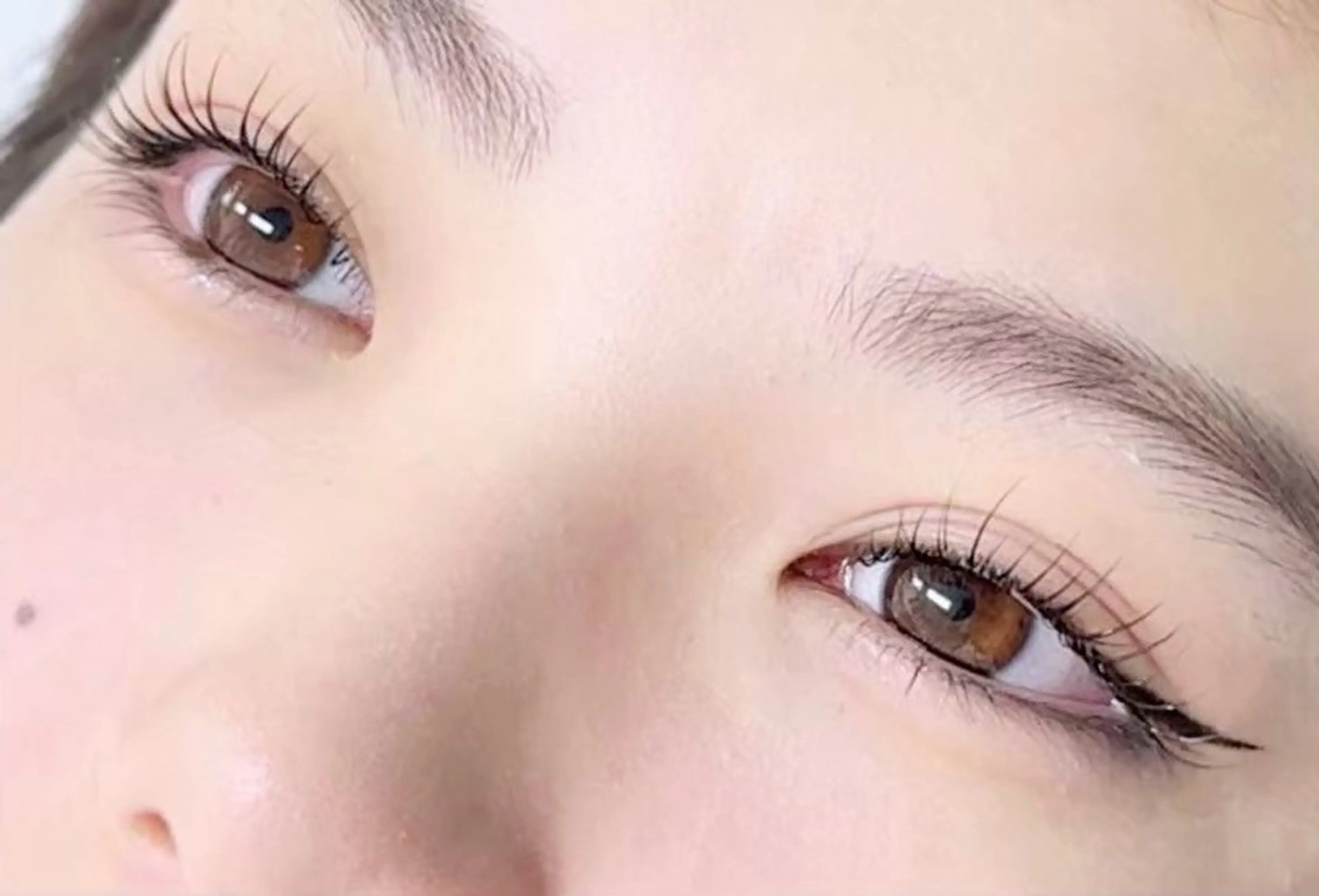 🌟メーテルラッシュ🌟の写真