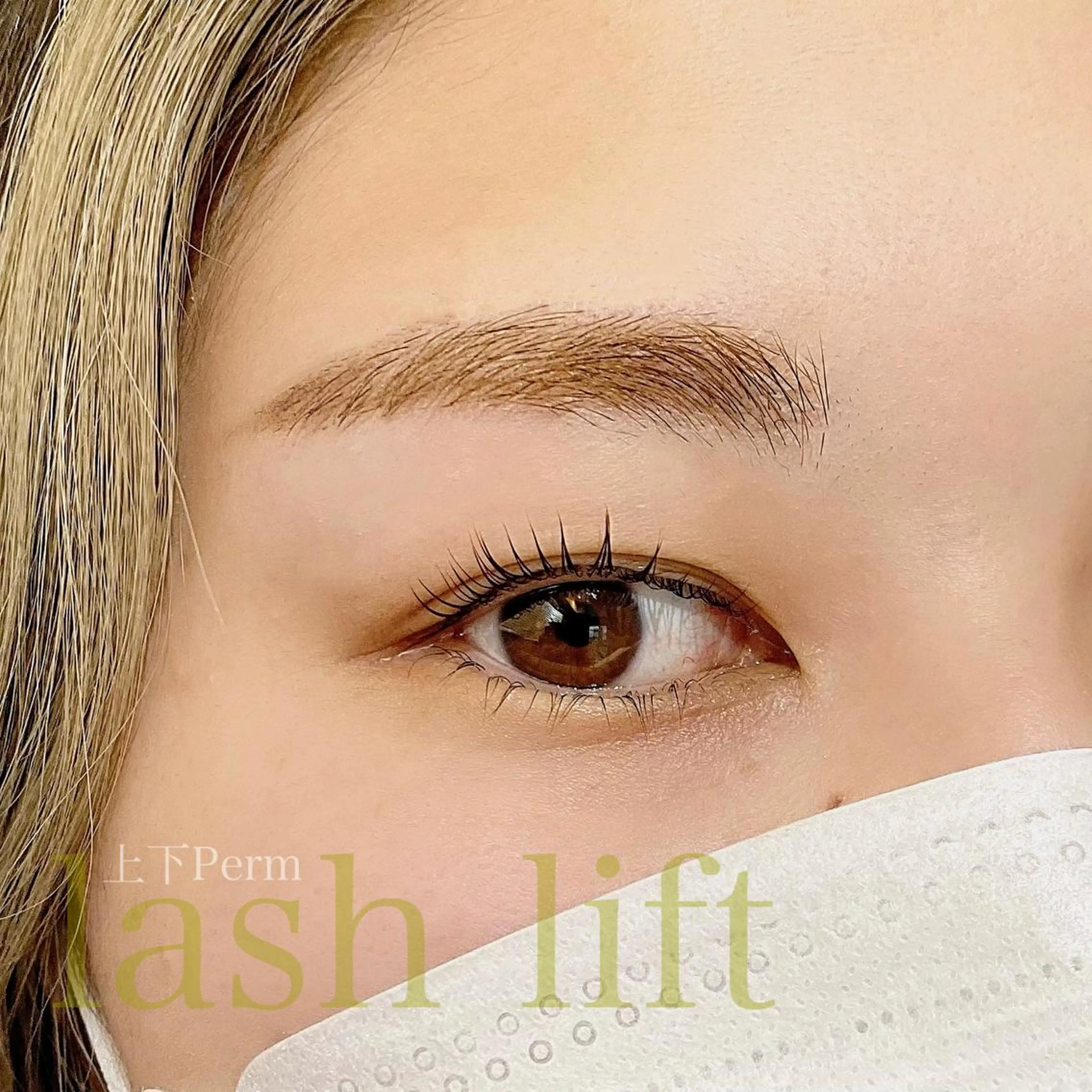 マツエク・マツパ フラットラッシュ パリジェンヌラッシュリフト 下まつげエクステ 一重×まつ毛パーマ ボリュームラッシュ マツパ 束感パリジェンヌ上下 恵比寿ayakaのマツエク・マツパデザイン