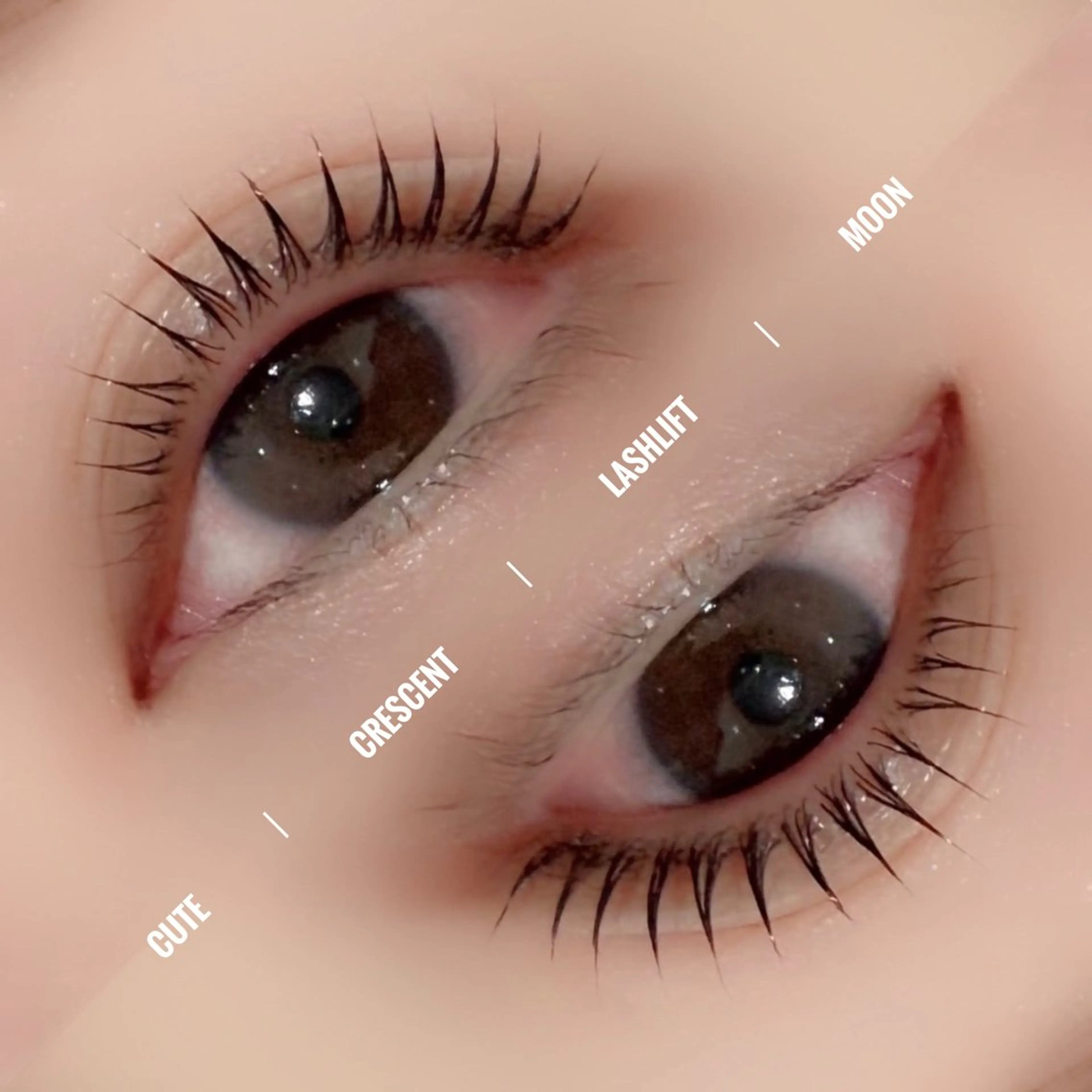 マツエク・マツパ マツパ 京橋🦋LEDマツエ ク&まつ毛パーマのマツエク・マツパデザイン