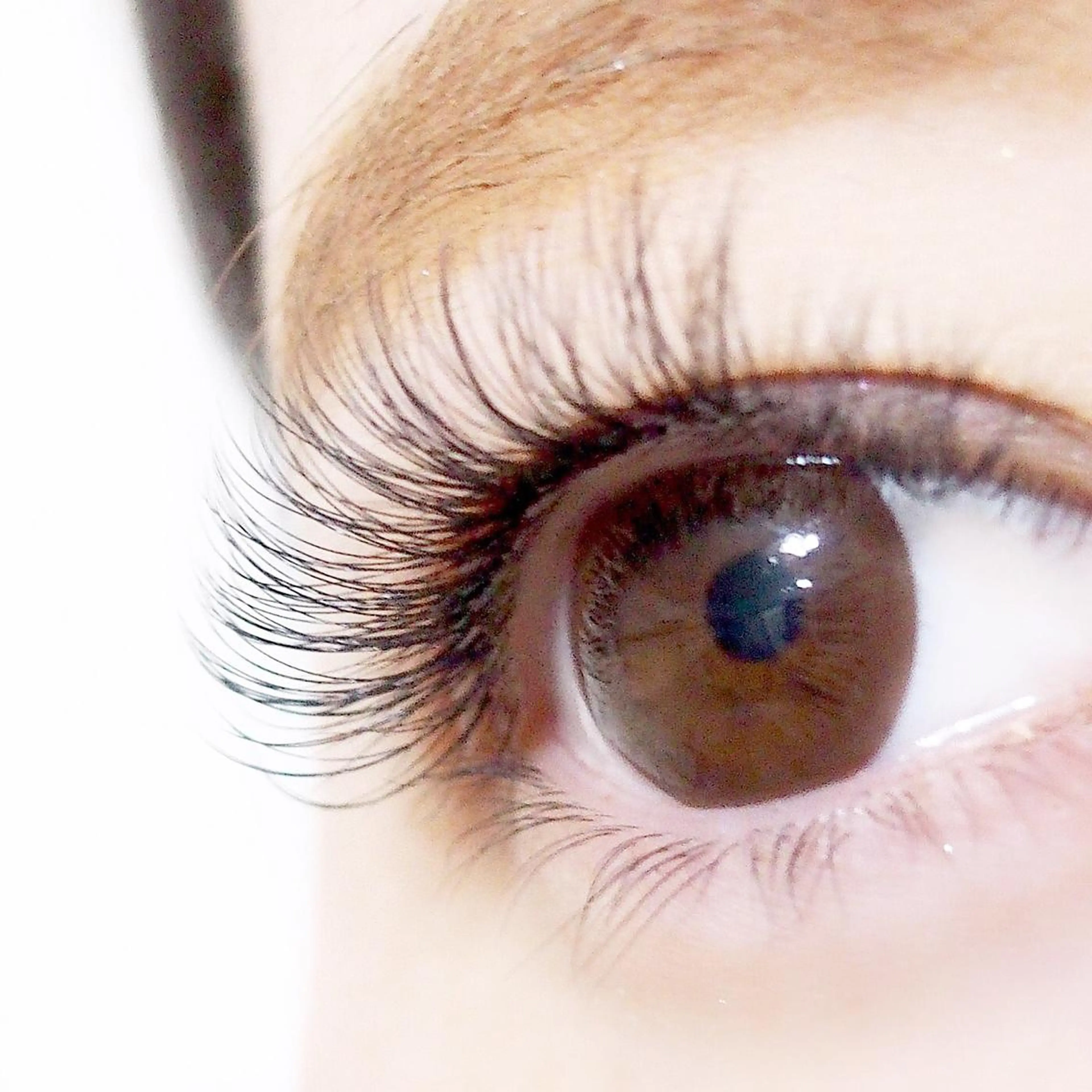 マツエク・マツパ マツエク eyenail 𓂃◌𓈒♡のマツエク・マツパデザイン