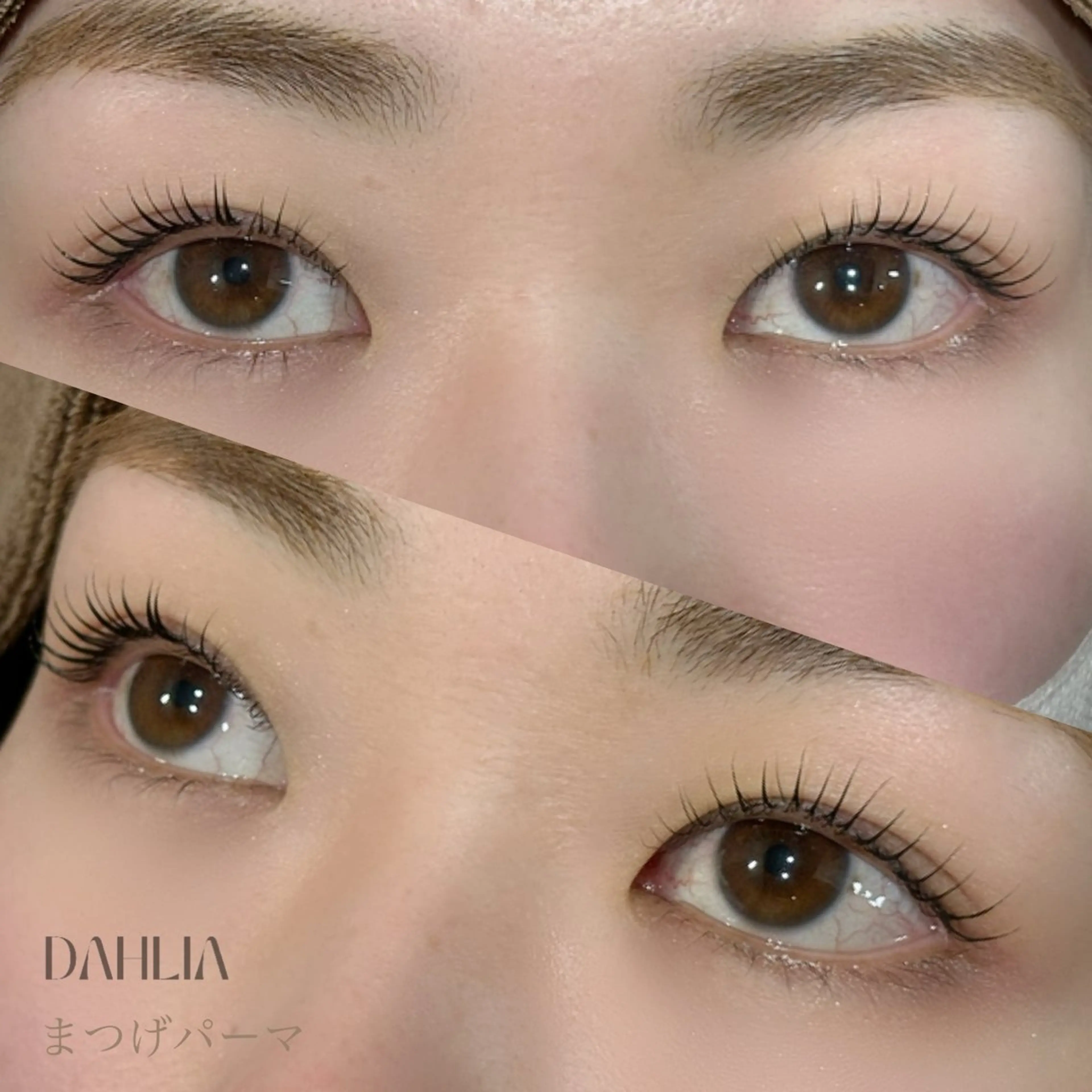 マツエク・マツパ まつげパーマ Dahliaダリア 斉藤のマツエク・マツパデザイン