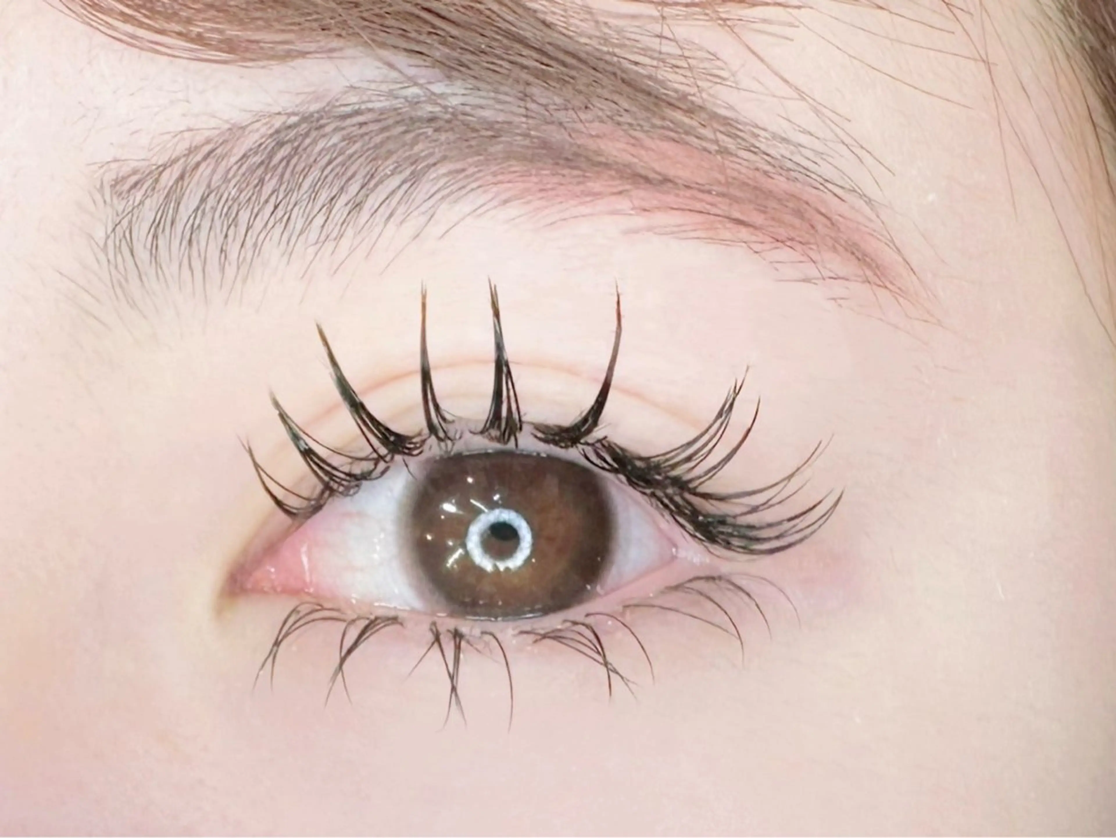 マツエク・マツパ マツエク Tomato 藤平のマツエク・マツパデザイン