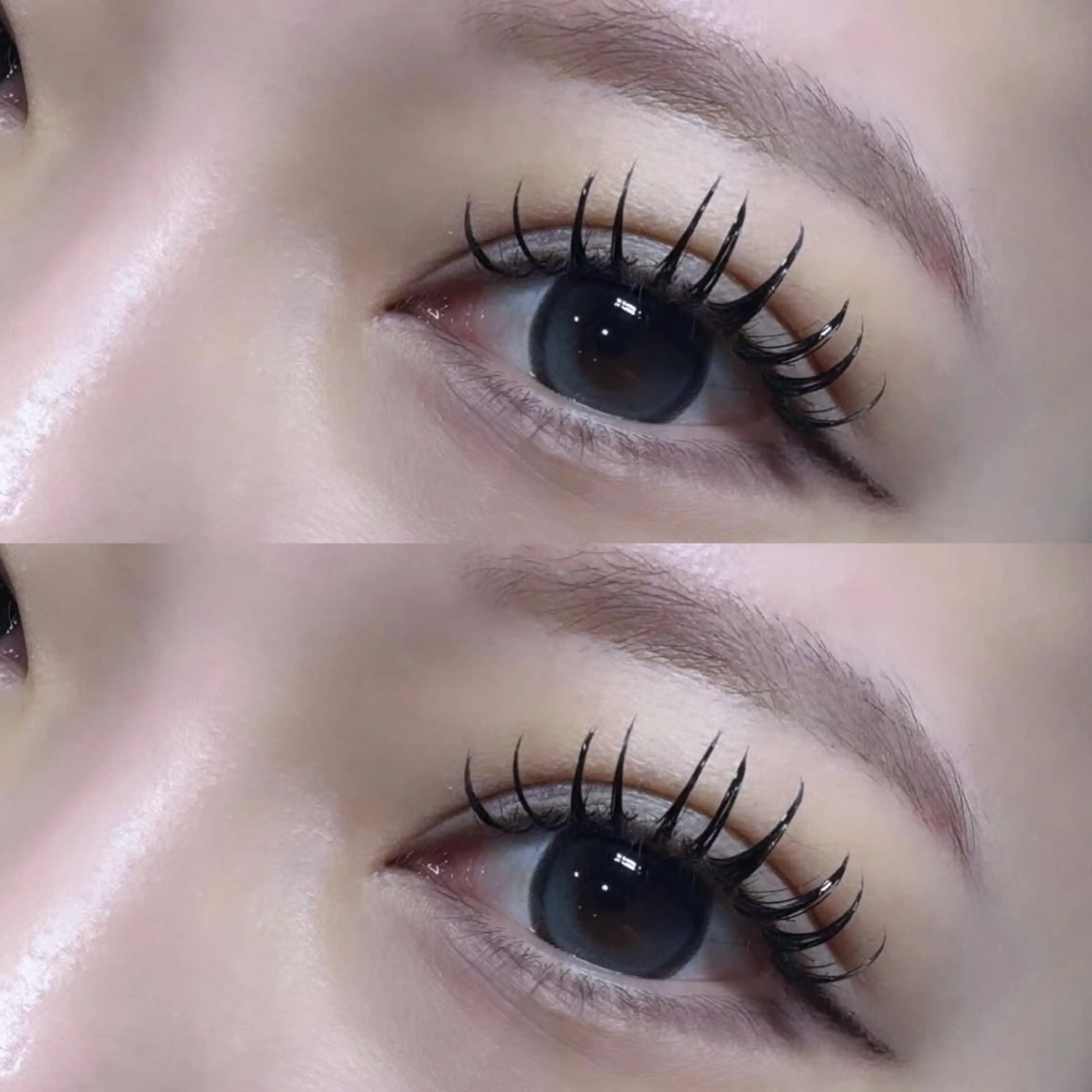 ［ミニモ限定］バインドロック100束🫧の写真