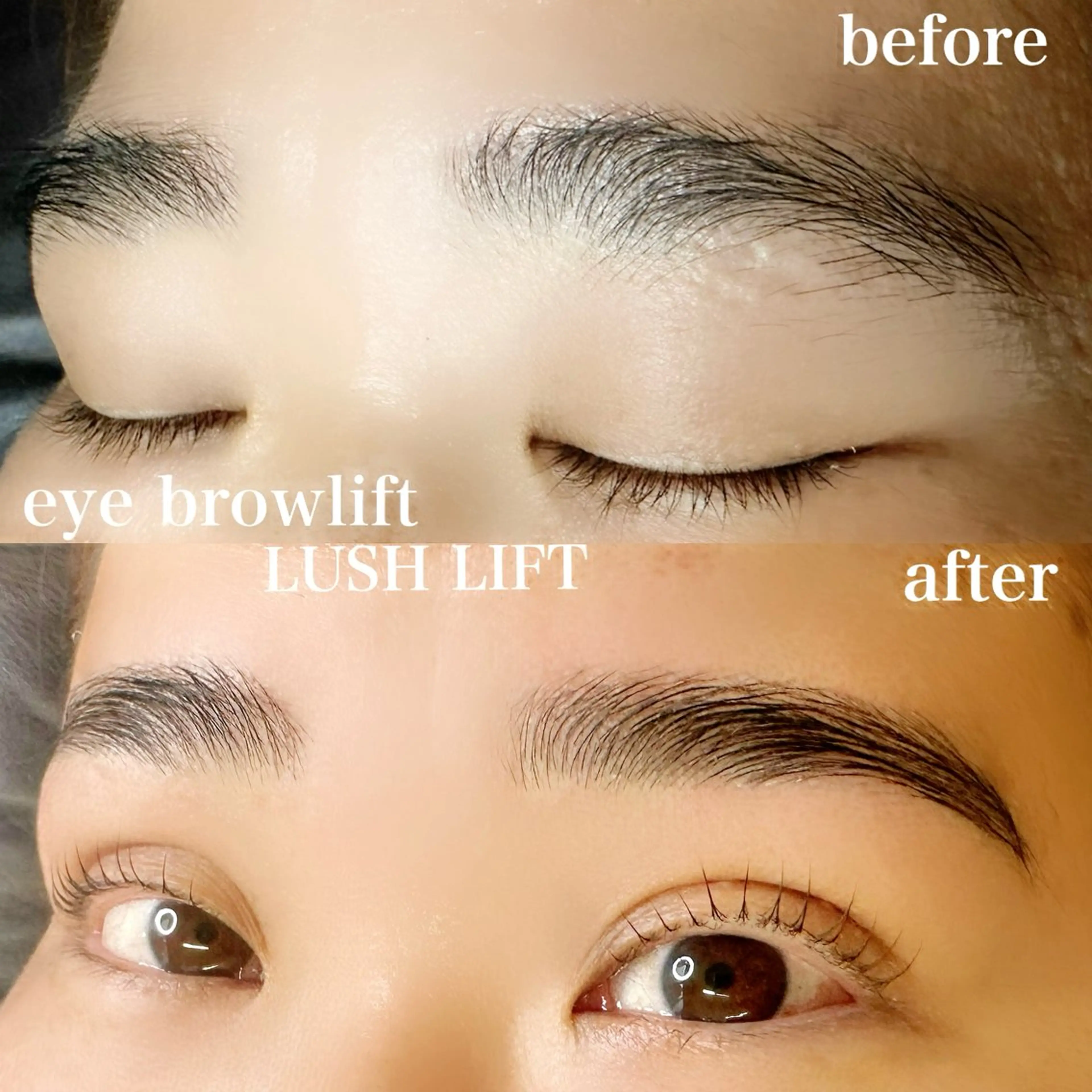 アイブロウ マツパ Fi-Ne eye ✴︎しおりのマツエク・マツパデザイン