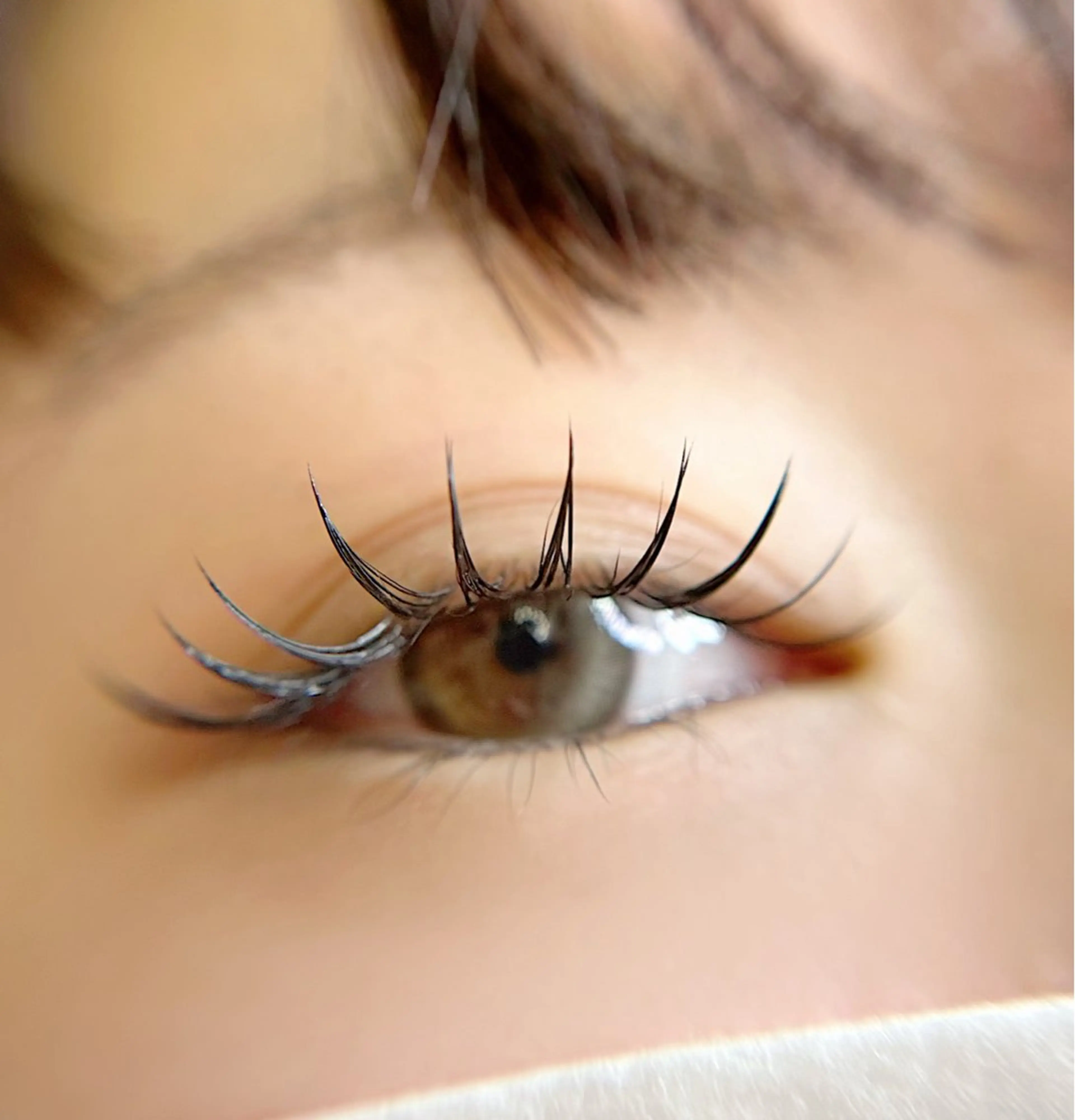 マツエク・マツパ 束感まつ毛 セーブル Citrine eyelash ✿のマツエク・マツパデザイン