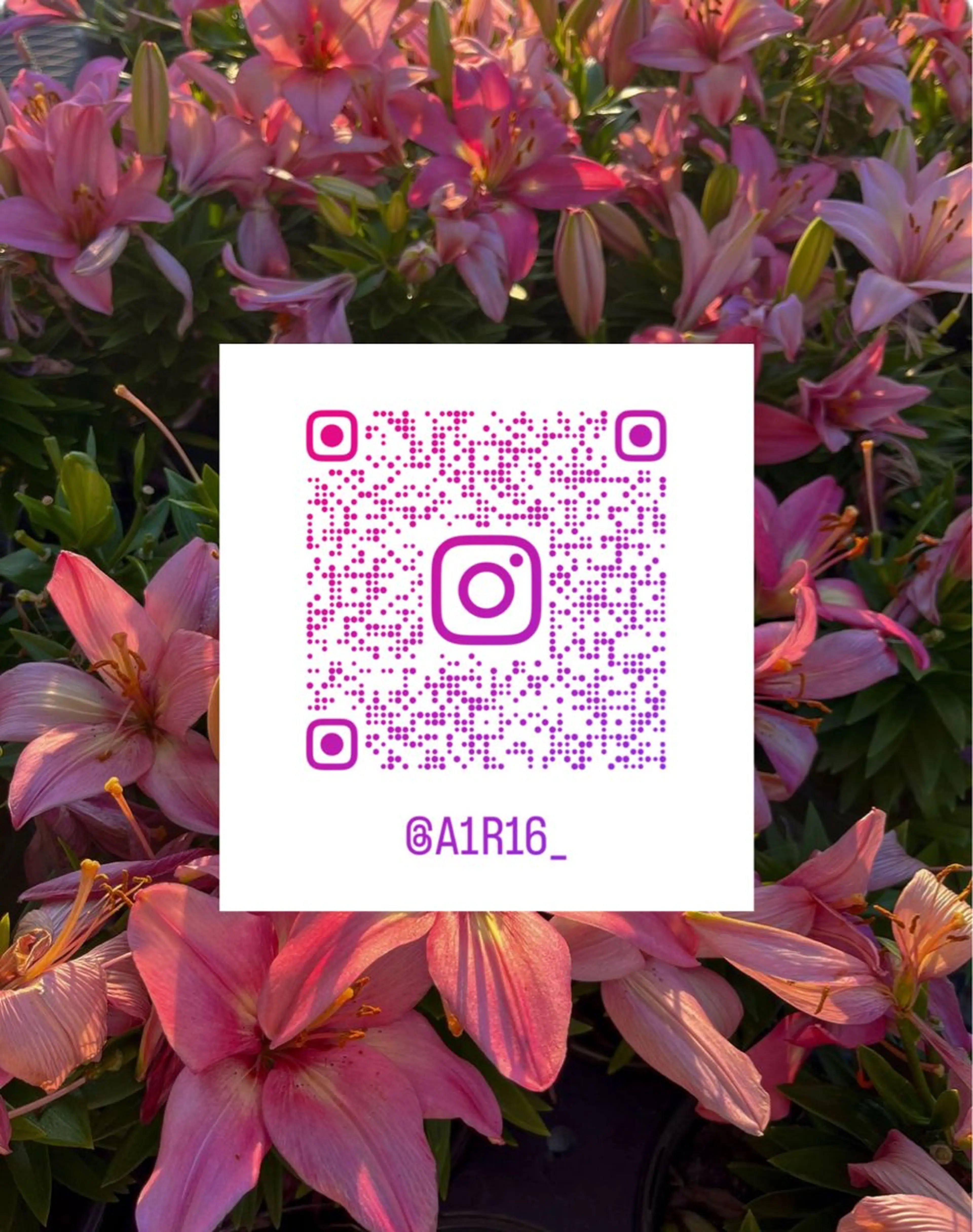 eyelash airu🎀のマツエク・マツパデザイン