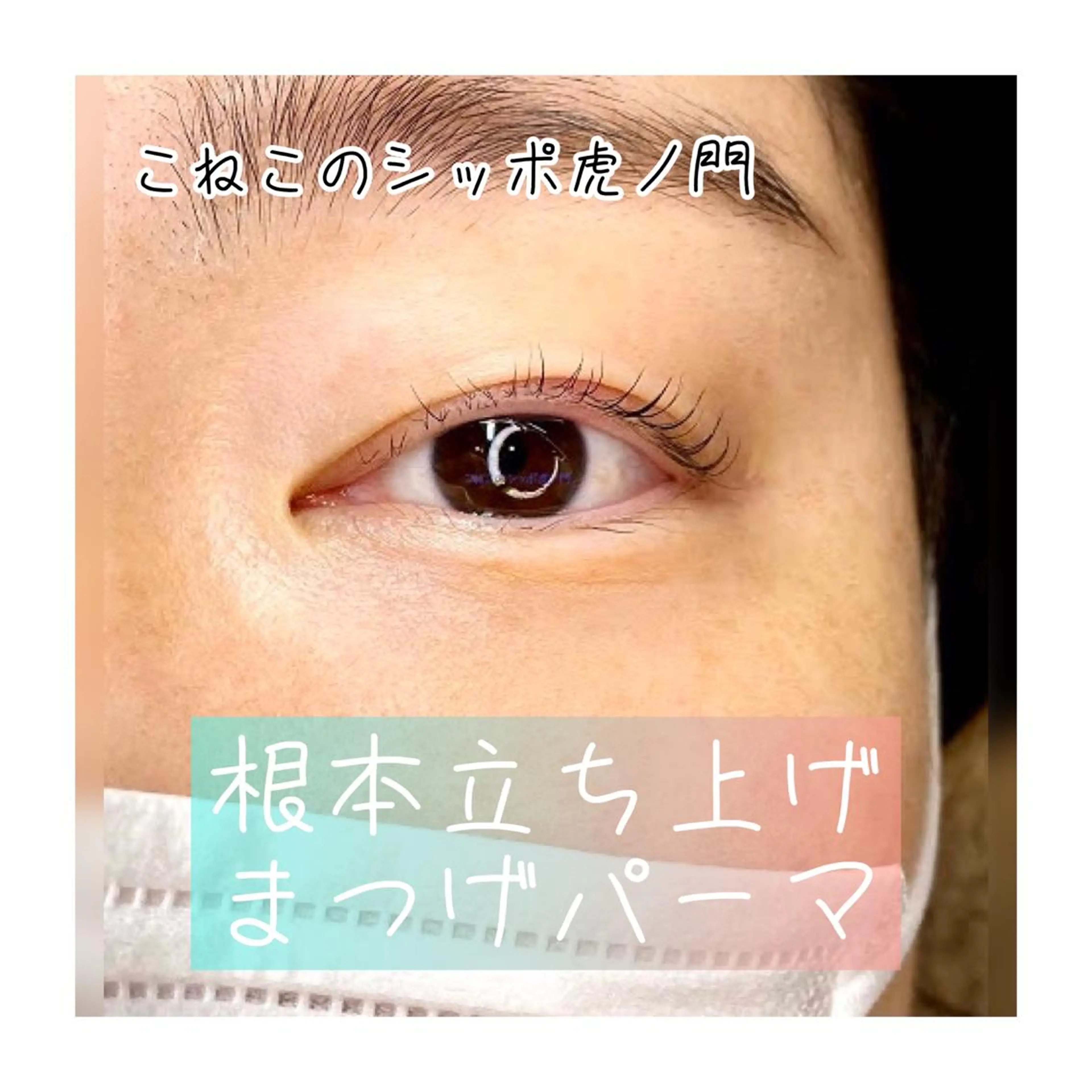 マツエク・マツパ ケラチンラッシュリフト くびれ作り専門サロン こねこのシッポ虎ノ門のエステ・リラクイメージ