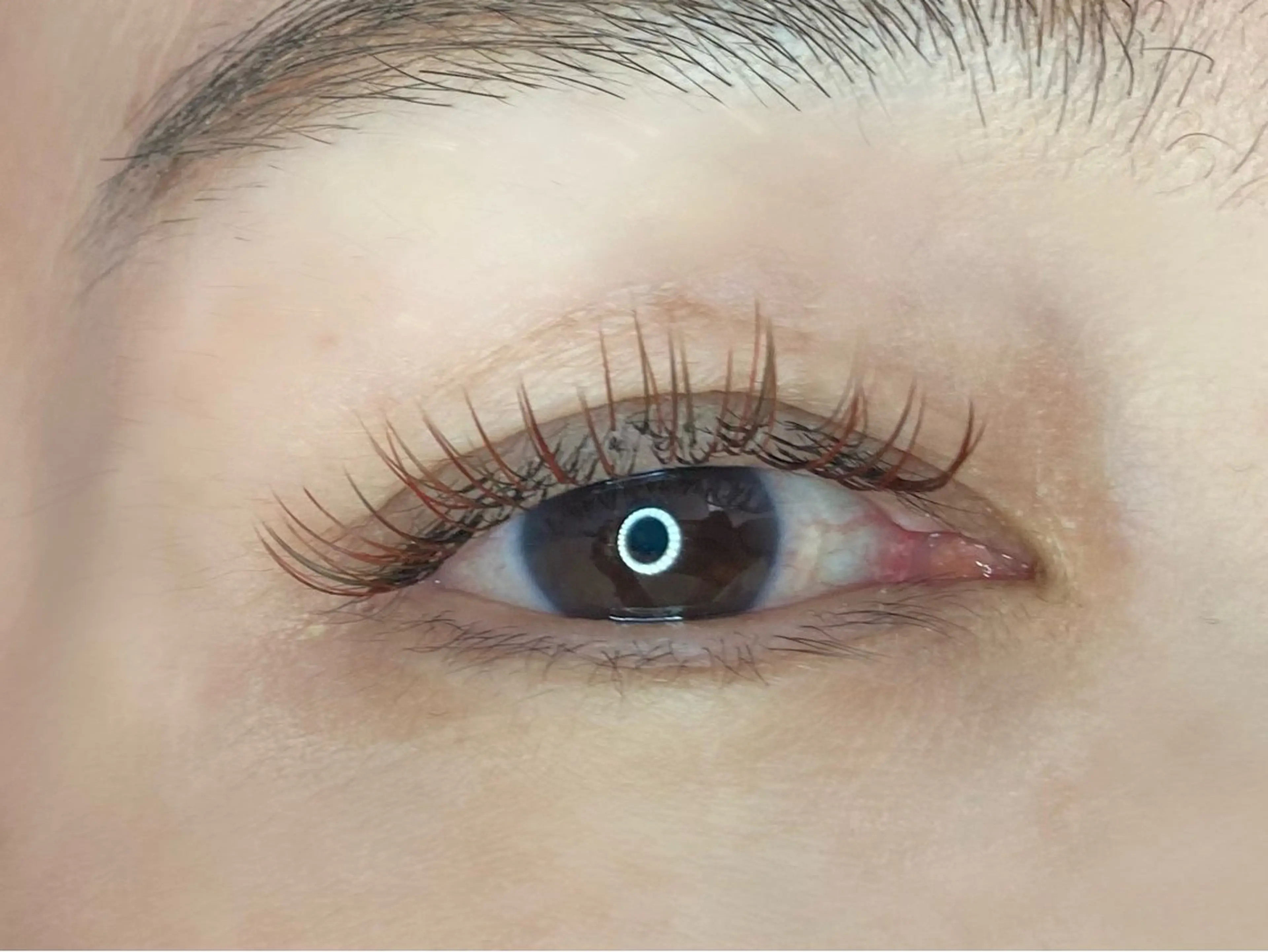 マツエク・マツパ マツエク Lupinus 長澤のマツエク・マツパデザイン