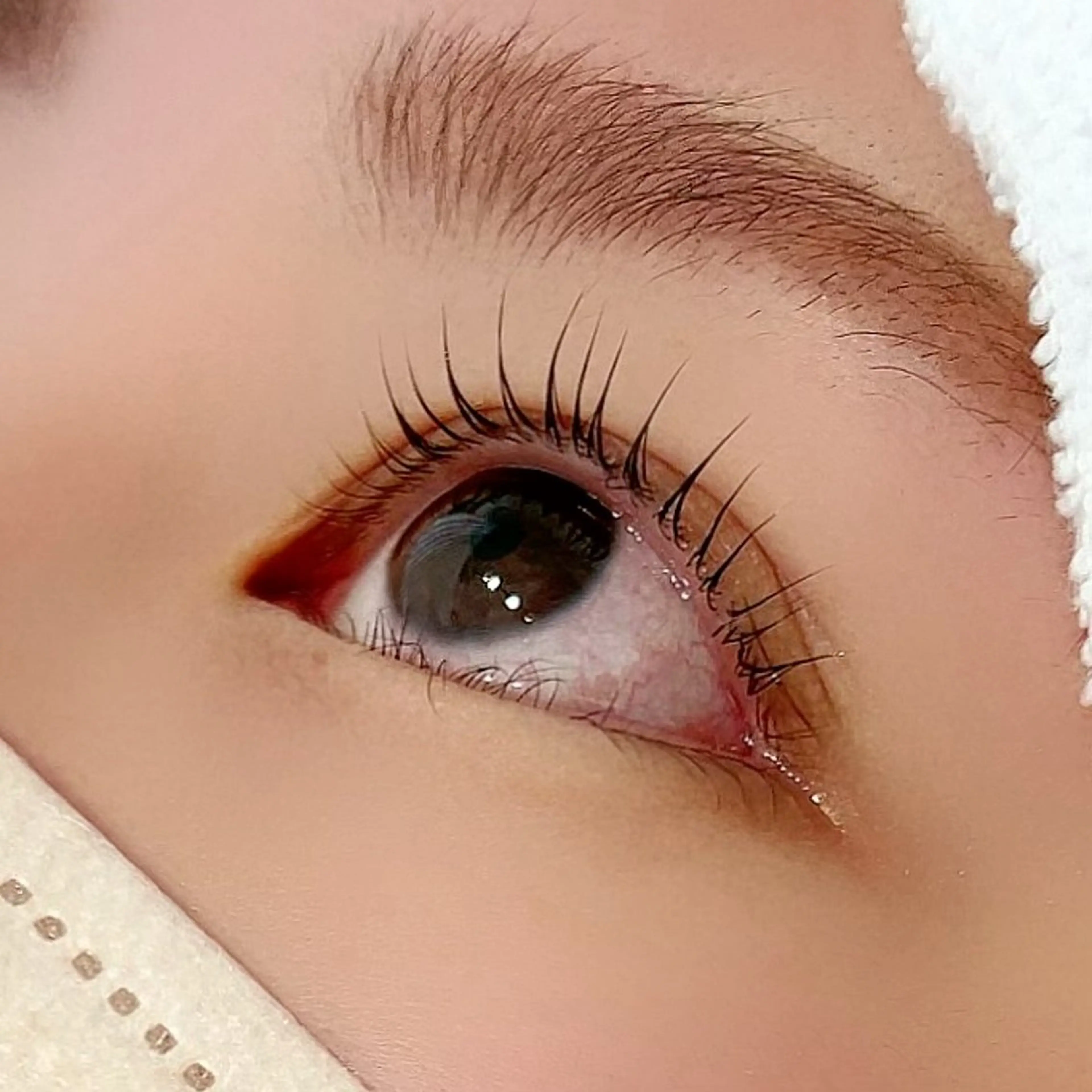 マツエク・マツパ パリジェンヌラッシュリフト こだわりカラー🕊️ 坪井美南🌼のマツエク・マツパデザイン