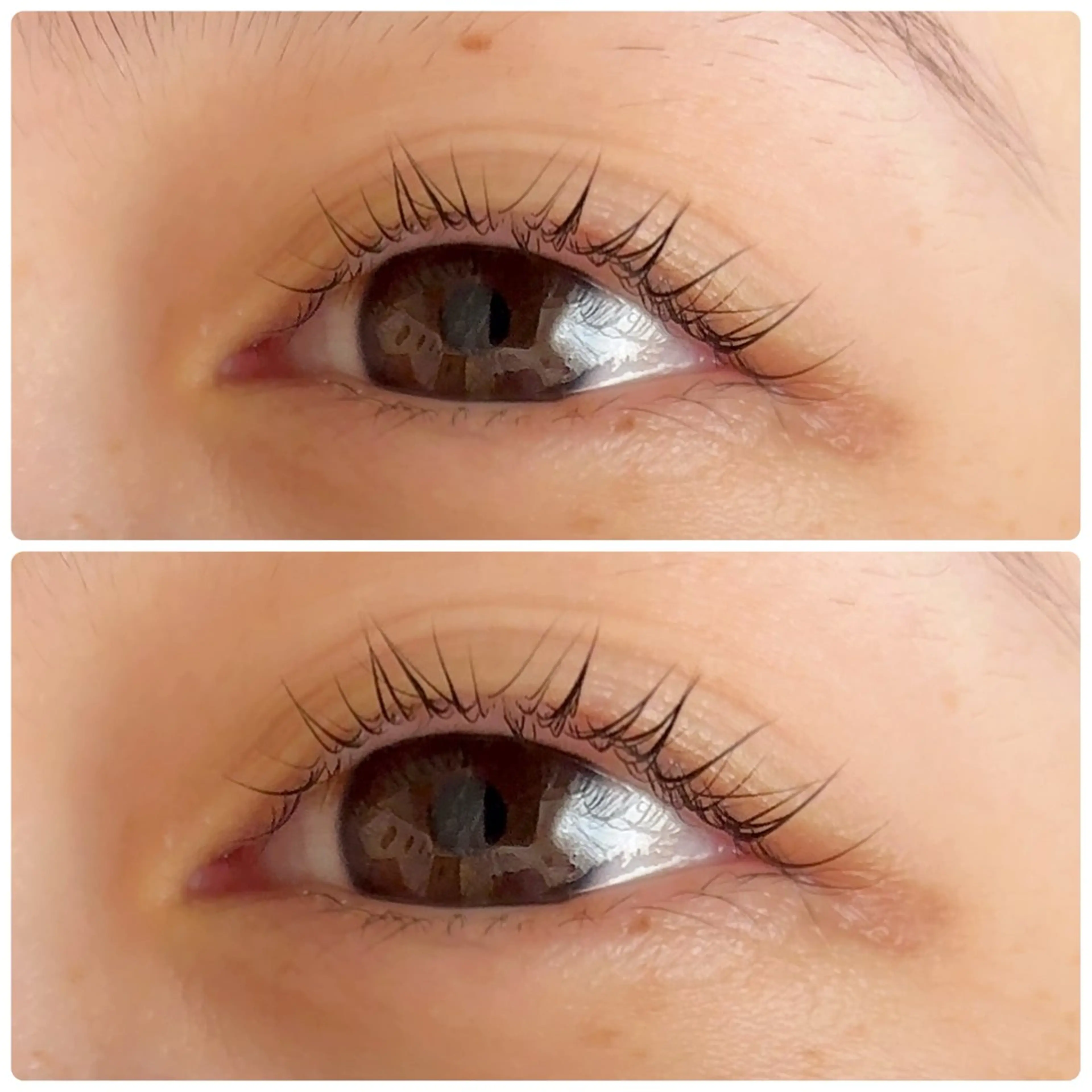 マツエク・マツパ マツパ Liberte’/ rinaのマツエク・マツパデザイン