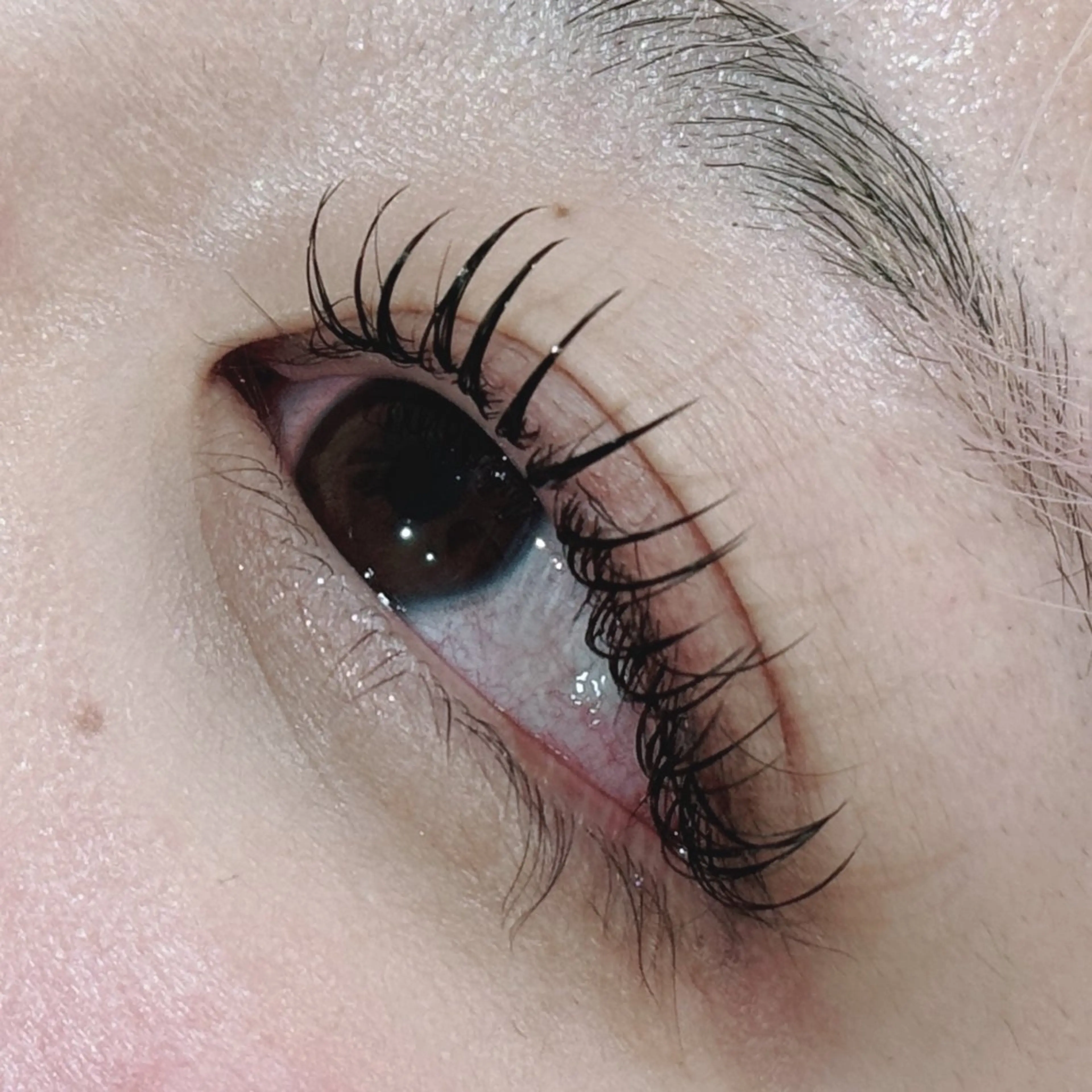 マツエク・マツパ フラットラッシュ セーブル August 大野のマツエク・マツパデザイン