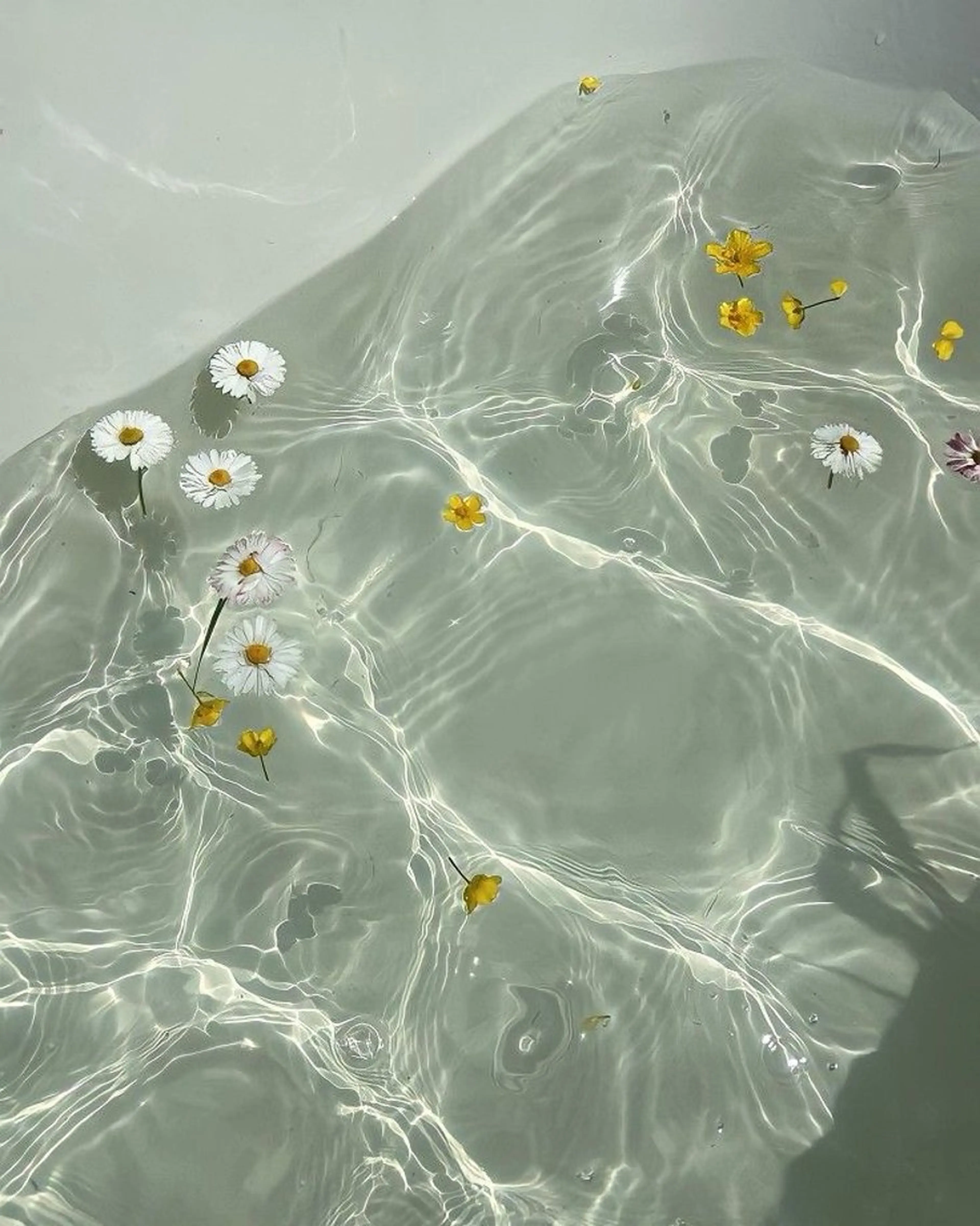 ☕️ハリウッドブロウリフト（HBL）☕️の写真