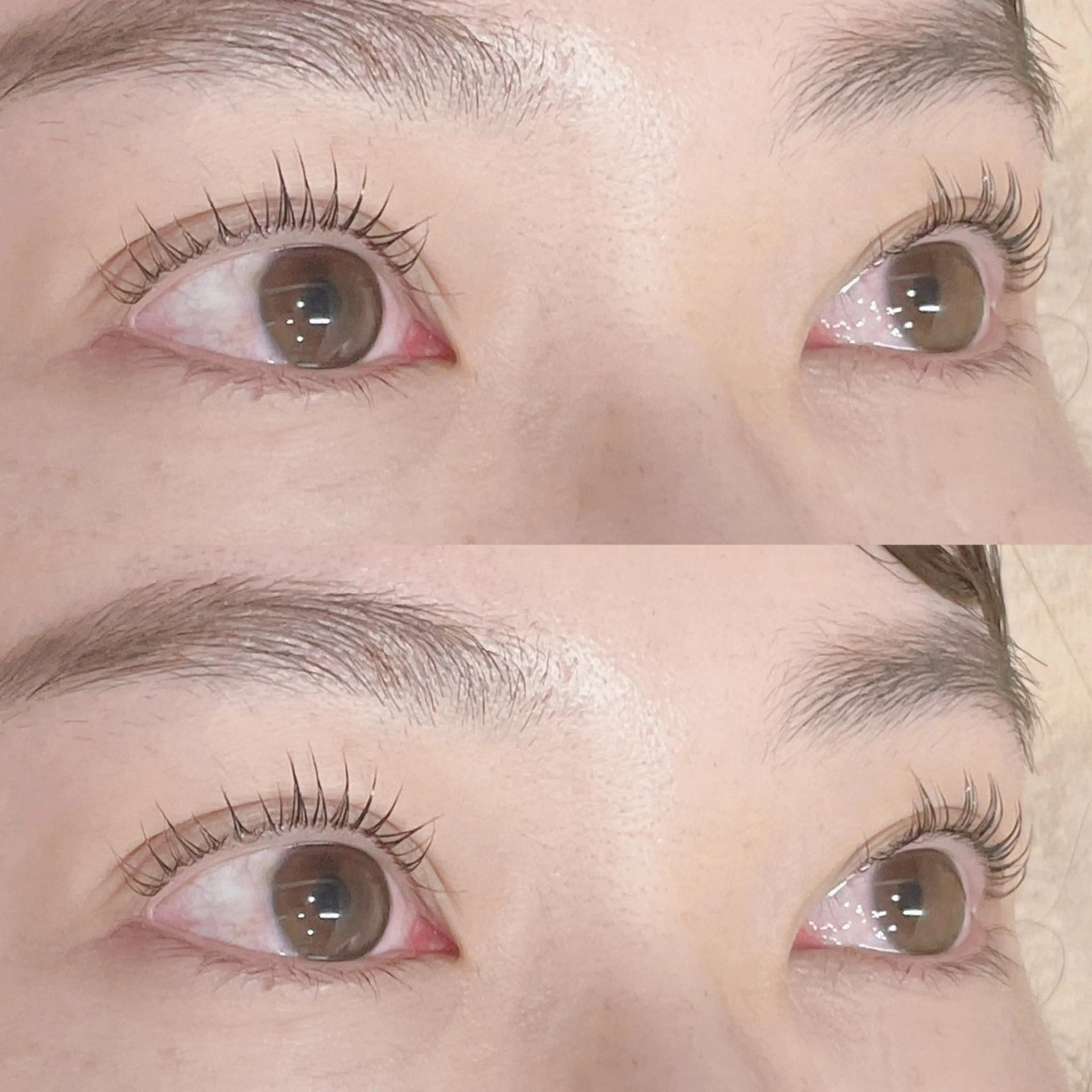 マツエク・マツパ パリジェンヌラッシュリフト MAQUIA 宮崎のマツエク・マツパデザイン