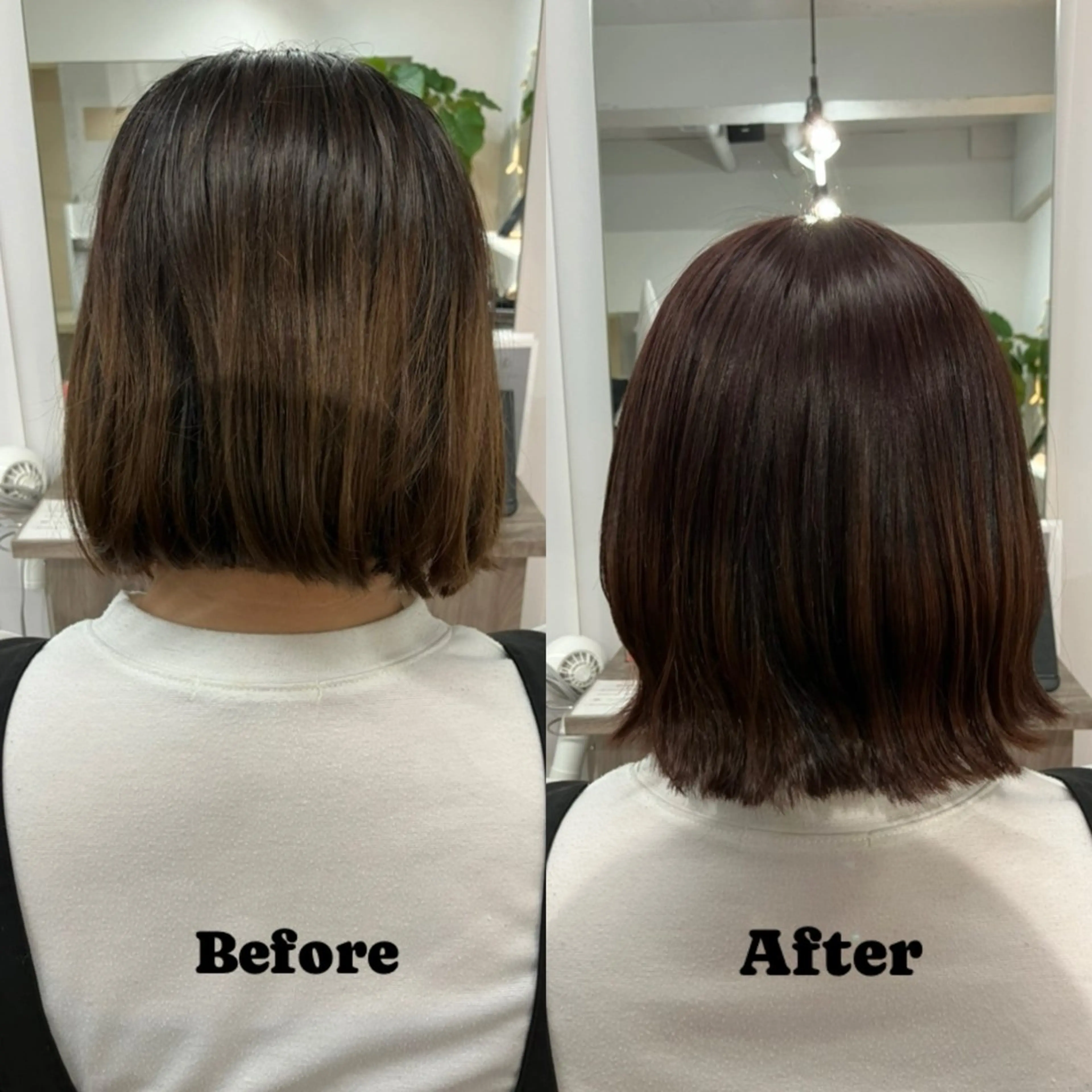 ショート カラー レッドカラー Dolceカレン /カットモデル募集中のヘアスタイル