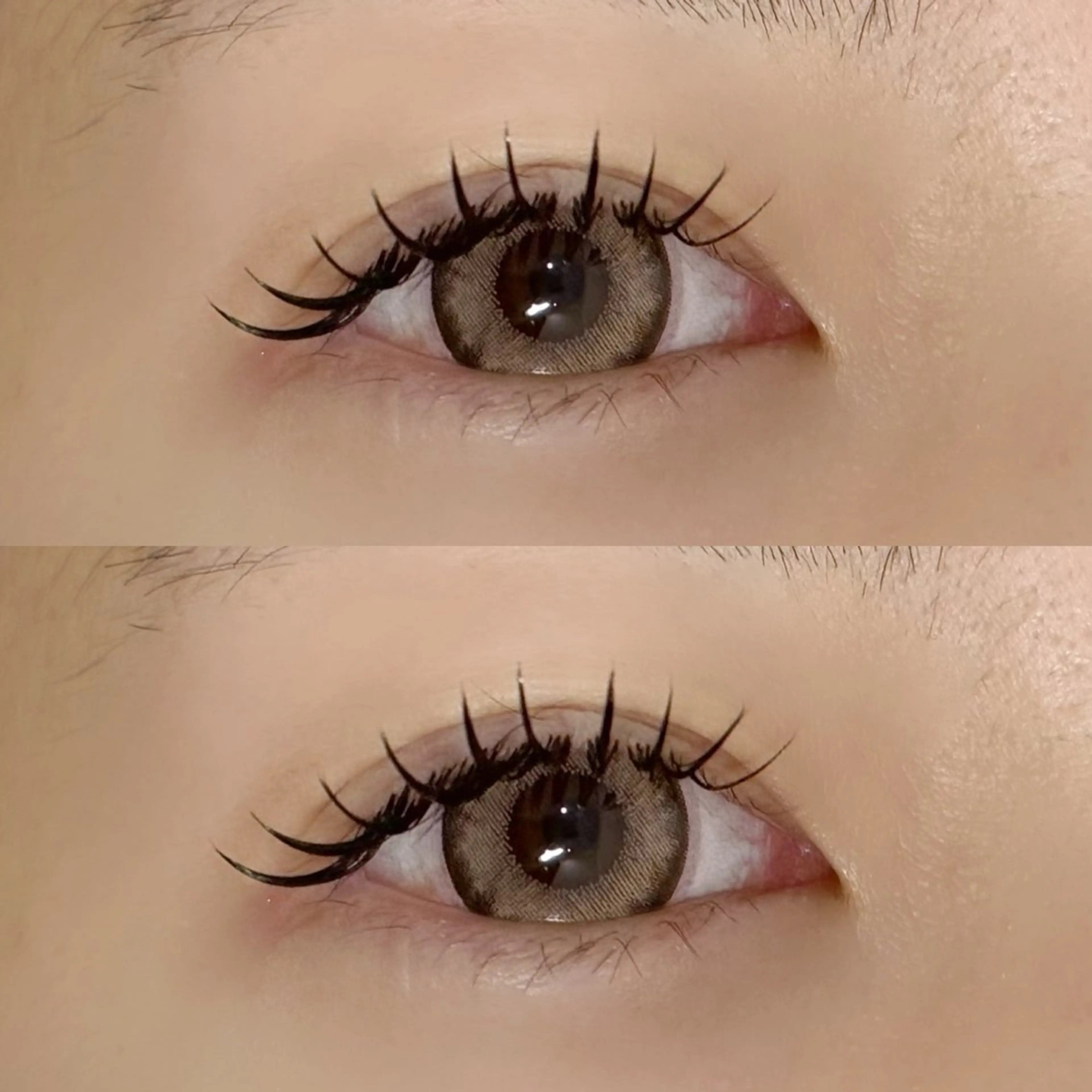 バインドロック80束 ￥6.050(他店オフ無料)の写真