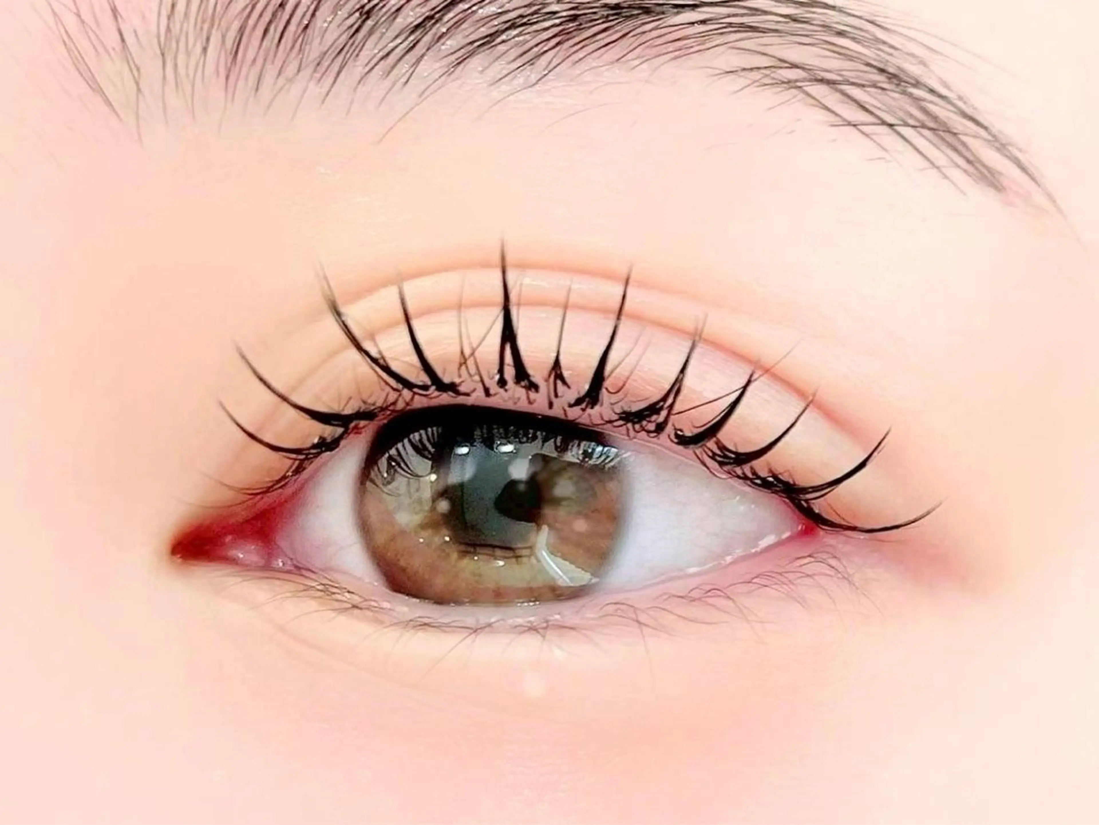 マツエク・マツパ Lutena🌻 sasakiの眉毛・アイブロウイメージ