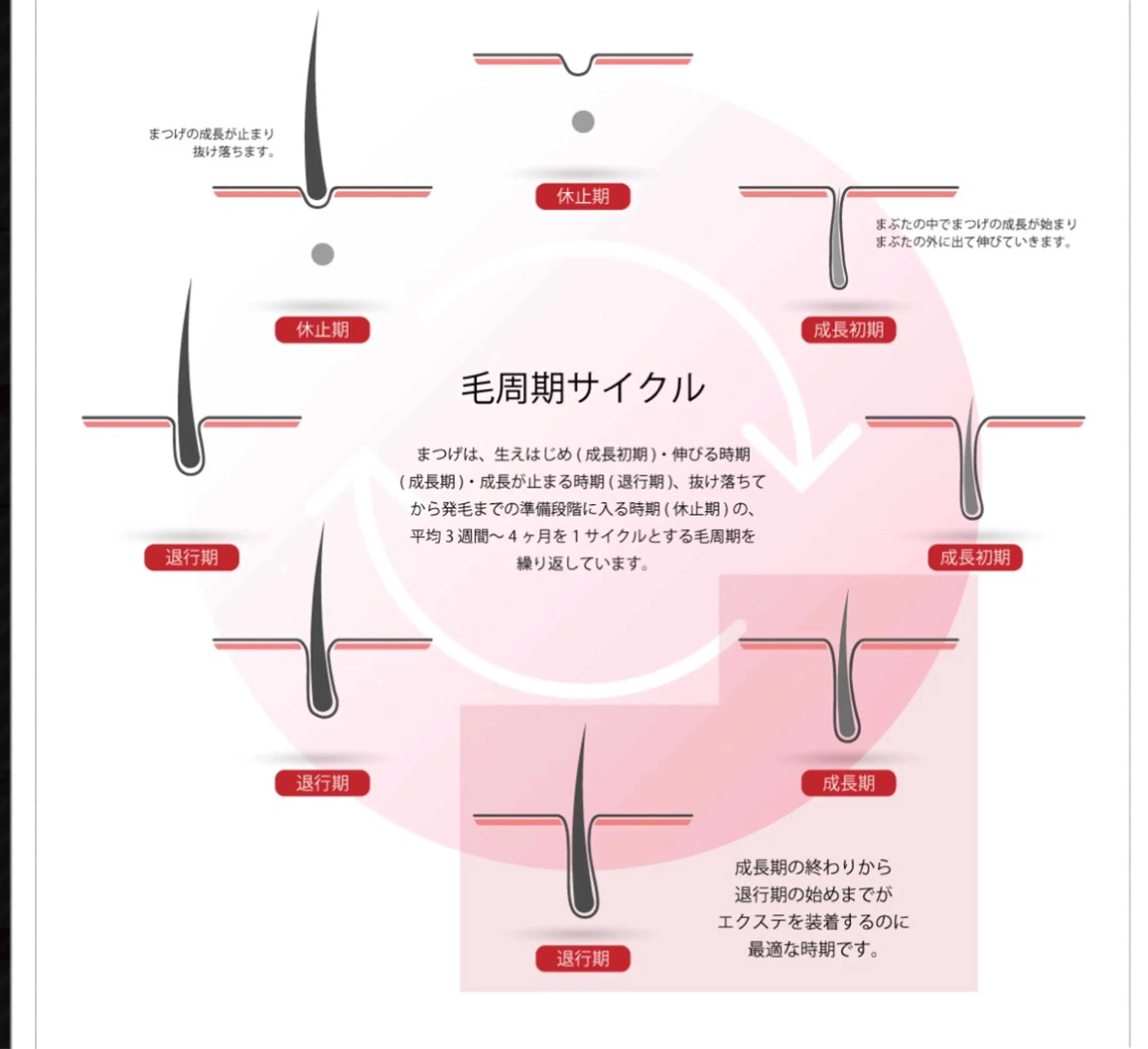 マツエク・マツパ Paulele すぎ.*のマツエク・マツパデザイン