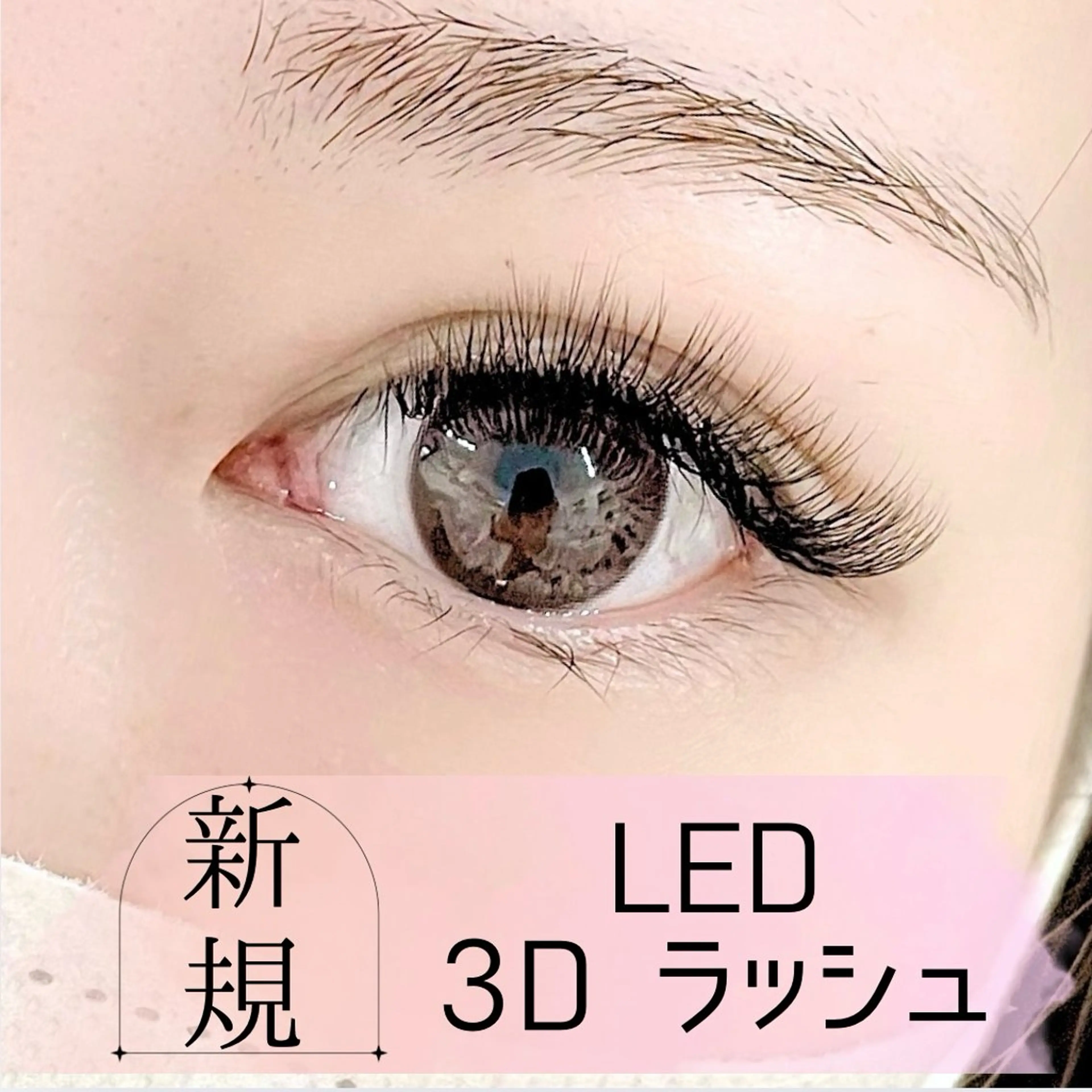＼ご新規様限定価格♪／【ふわふわまつ毛】LED 3Dラッシュ100束¥6500の写真