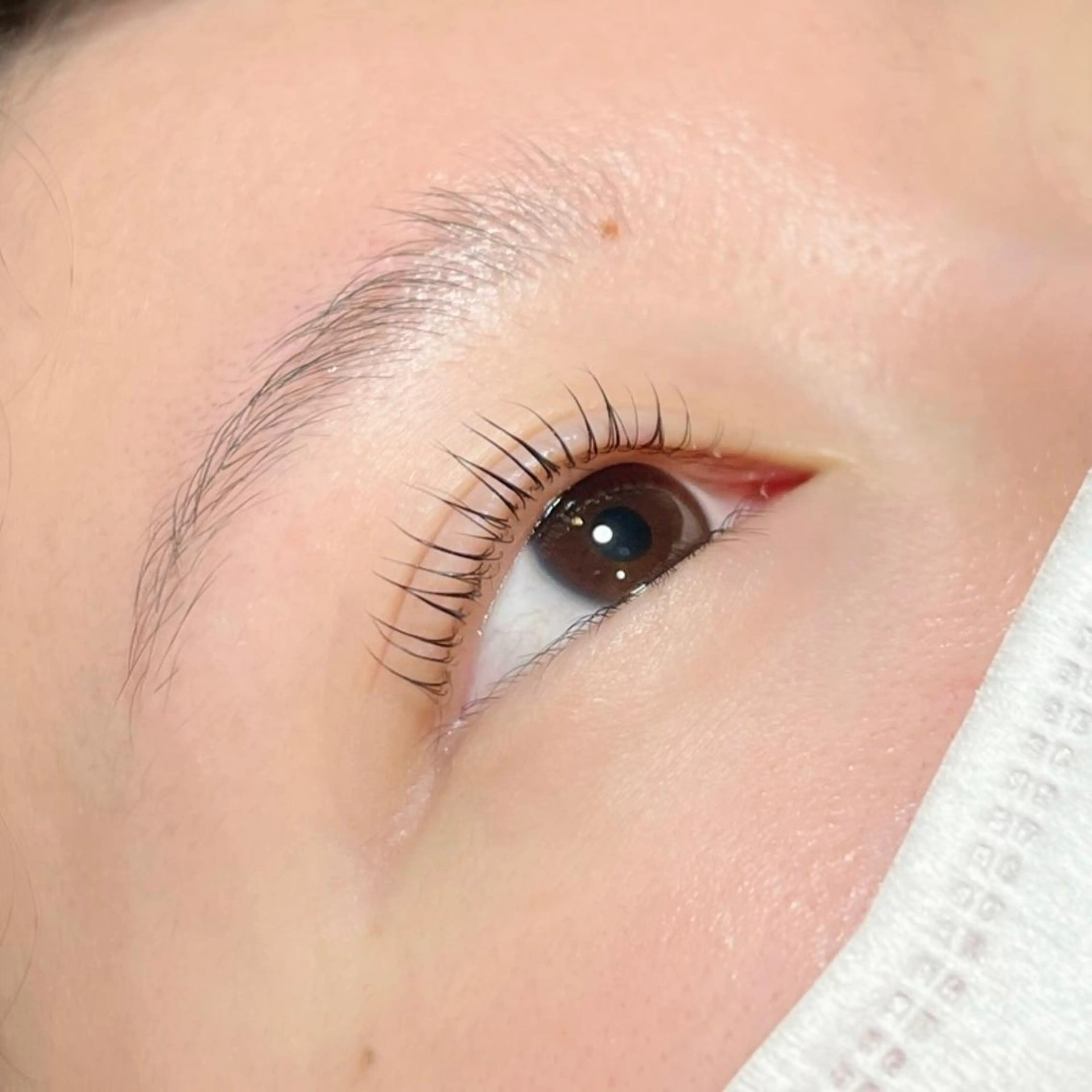 マツエク・マツパ マツパ mona 🎀韓国まつパ/眉毛のマツエク・マツパデザイン