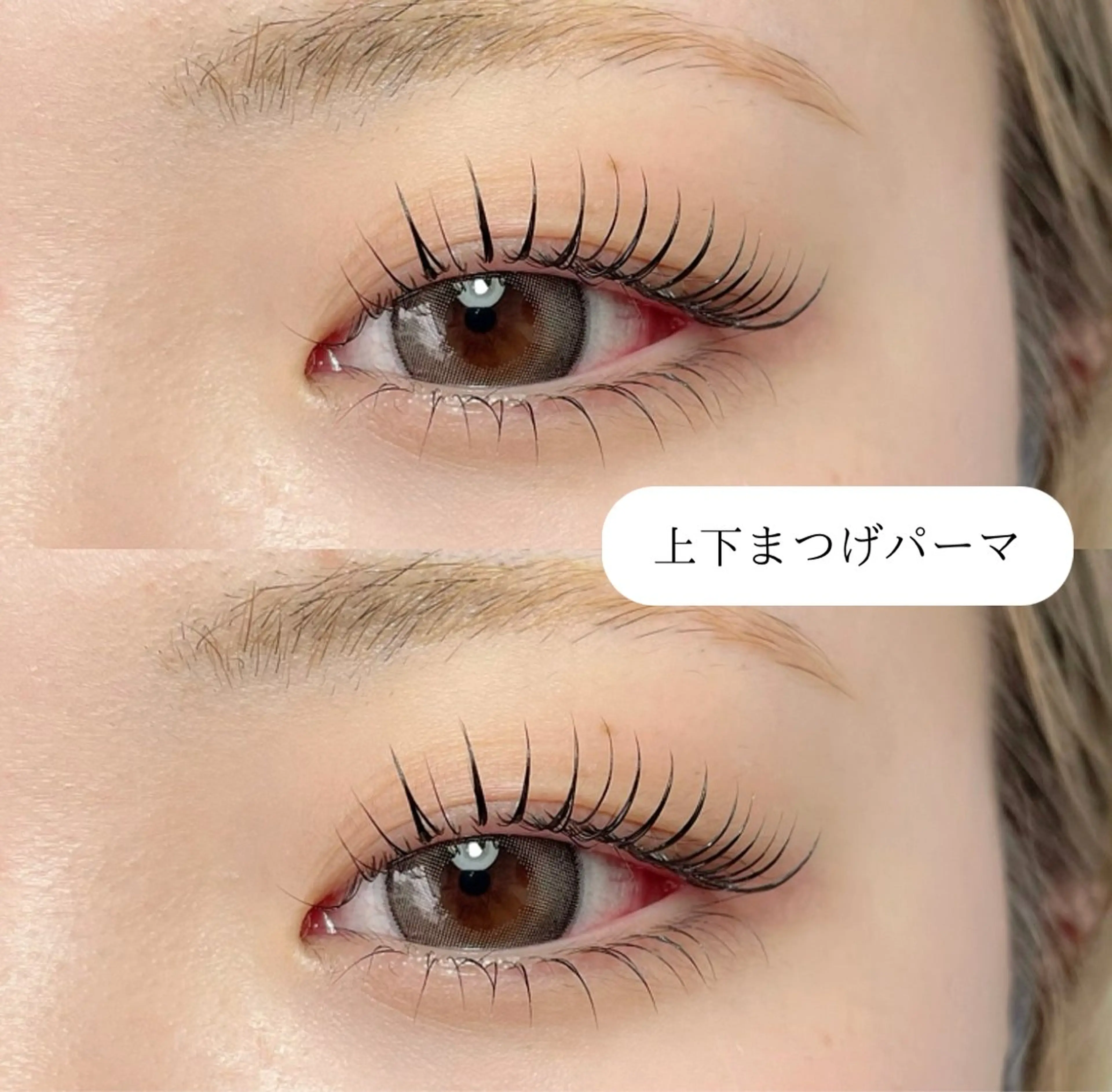 マツエク・マツパ まつげパーマ 下まつげエクステ マツパ 高橋 ゆずきのマツエク・マツパデザイン