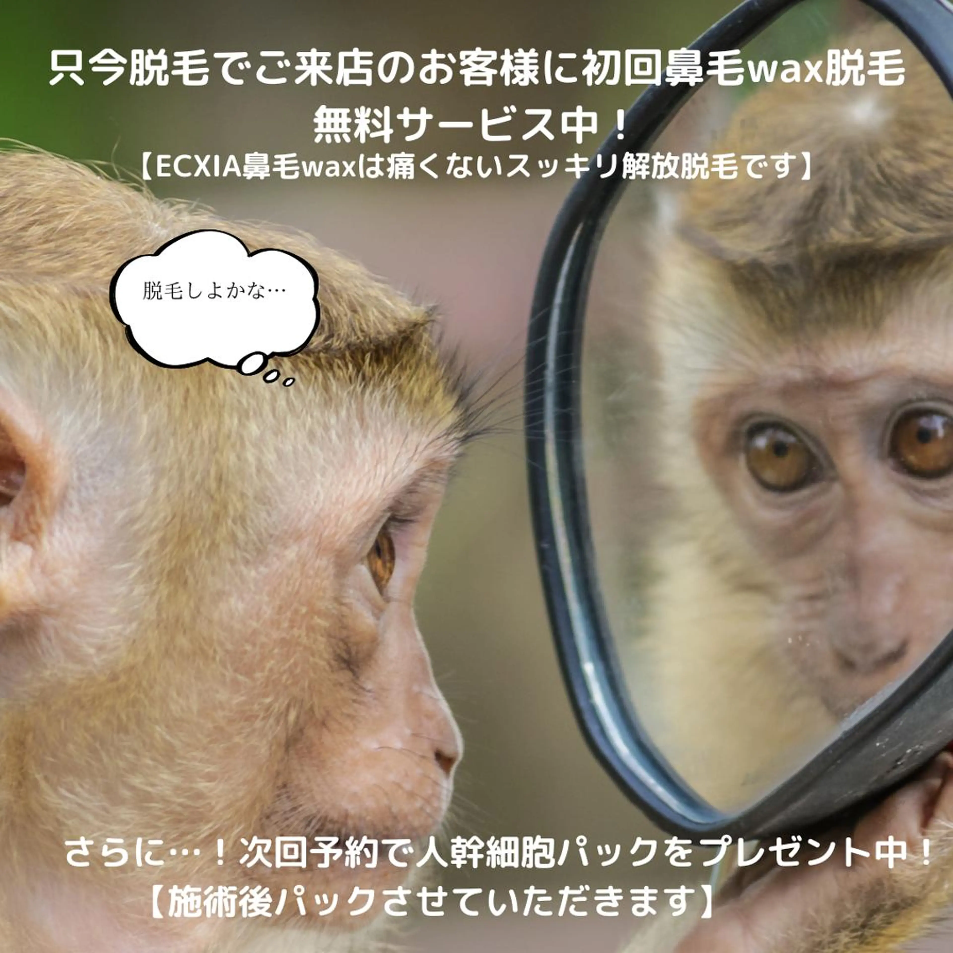 メンズ men's脱毛サロン ECXIAのエステ・リラクイメージ