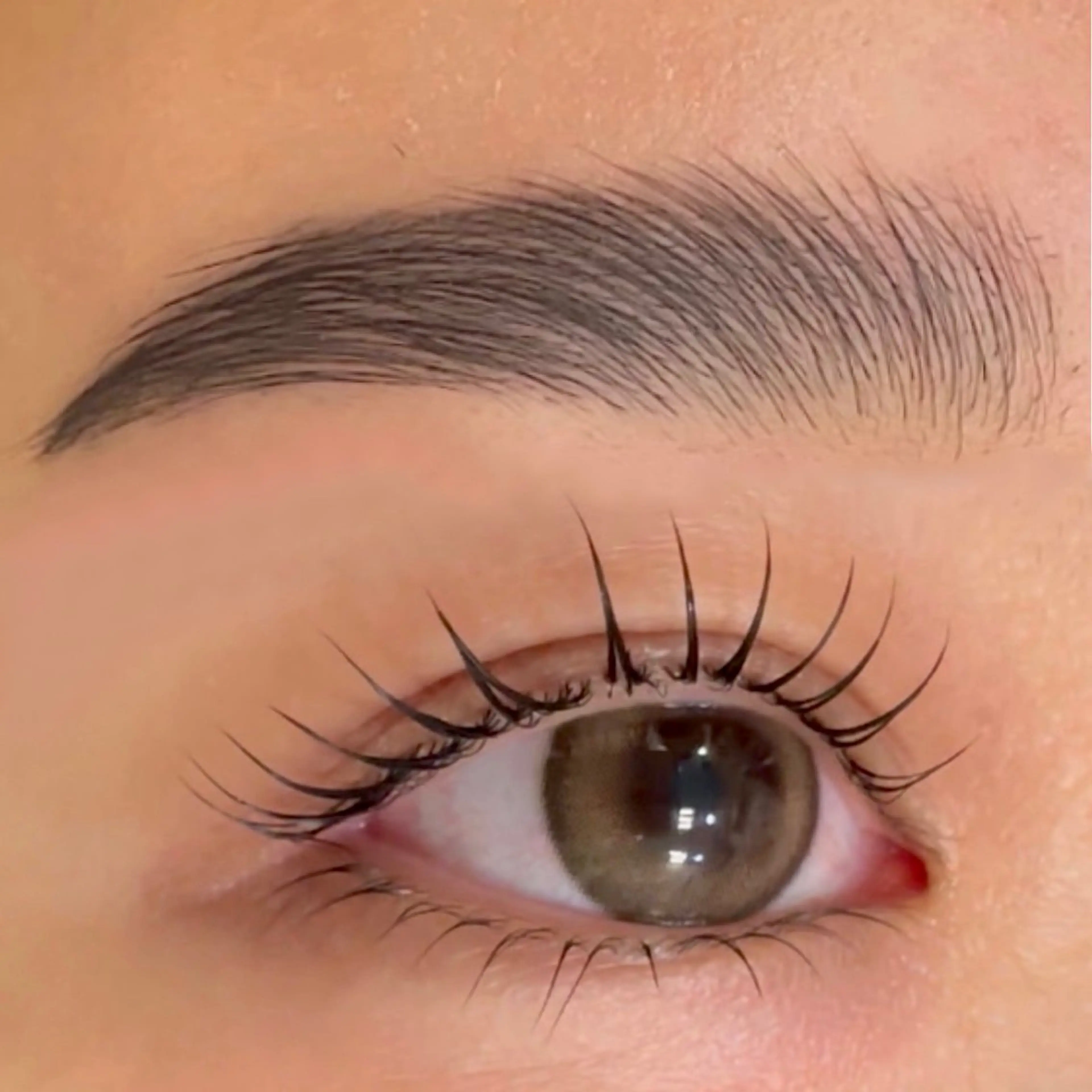 【Wパーマ】❤️🔥❤️🔥パリジェンヌ×ハリウッドブロウリフト【眉wax脱毛付き】の写真