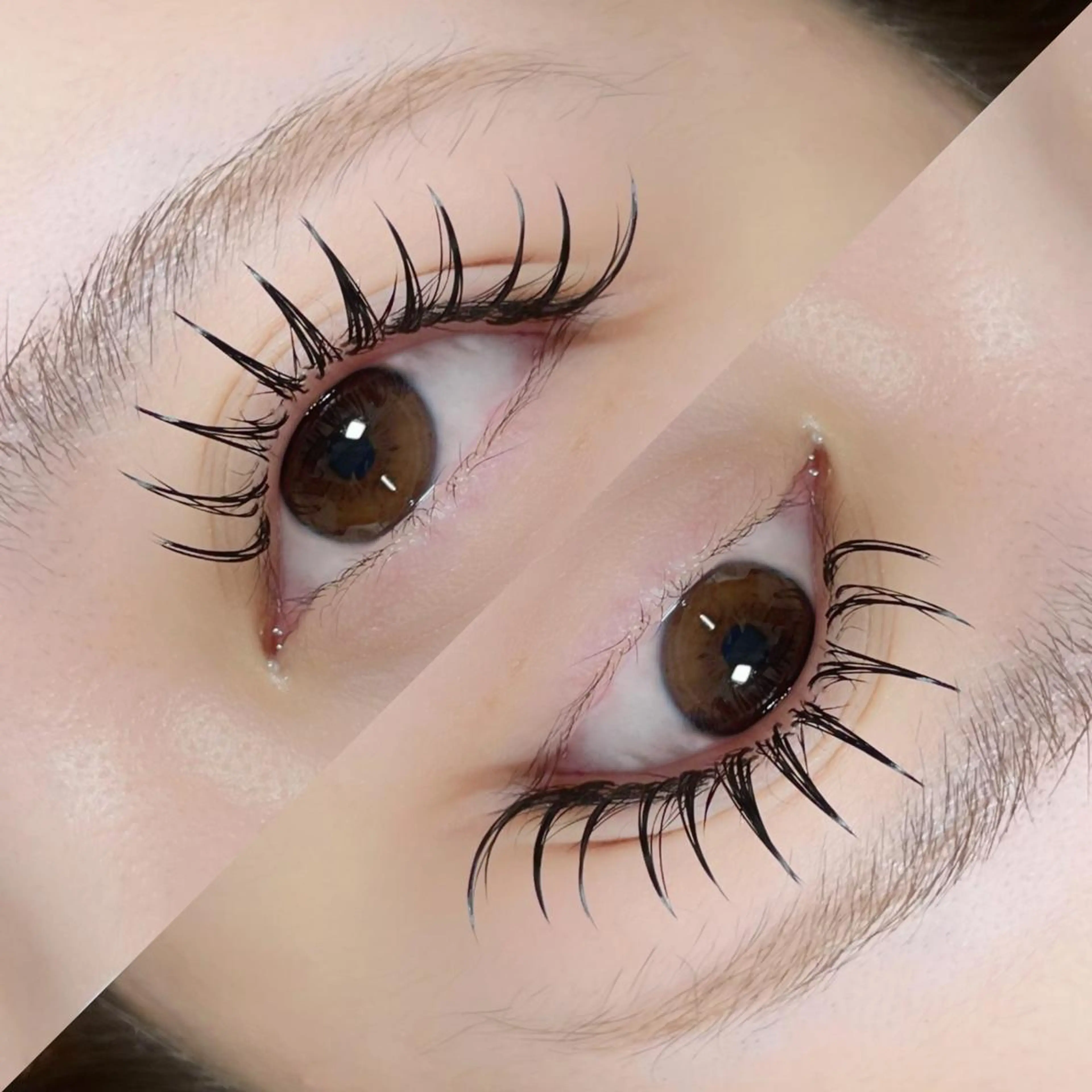 マツエク・マツパ 束感まつ毛 マツエク GO TODAY   SHAiRE SALON iris duo所属・Yui eye 表参道のマツエク・マツパデザイン