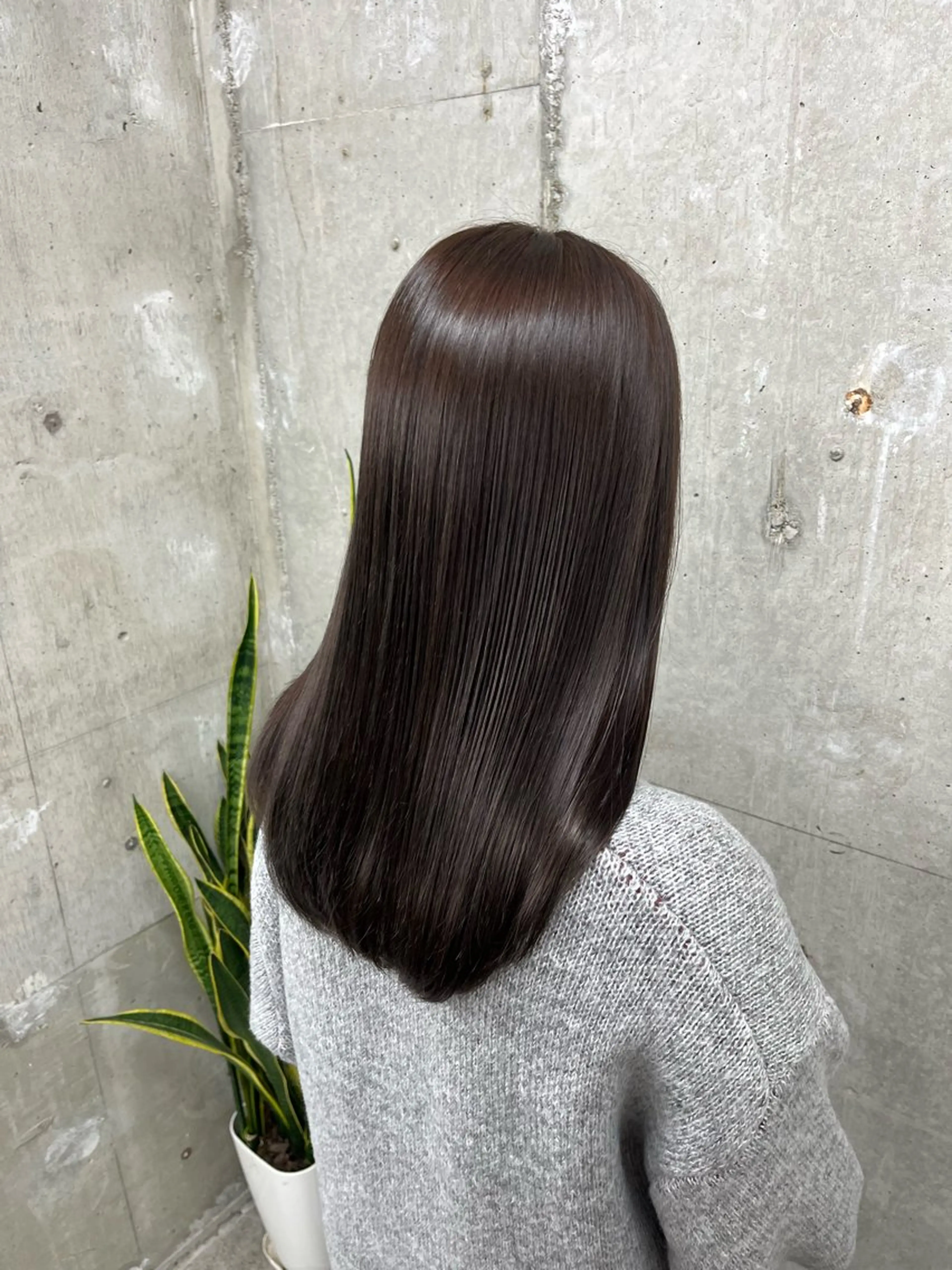 💫カット➕美髪カラー➕補修トリートメント💫の写真