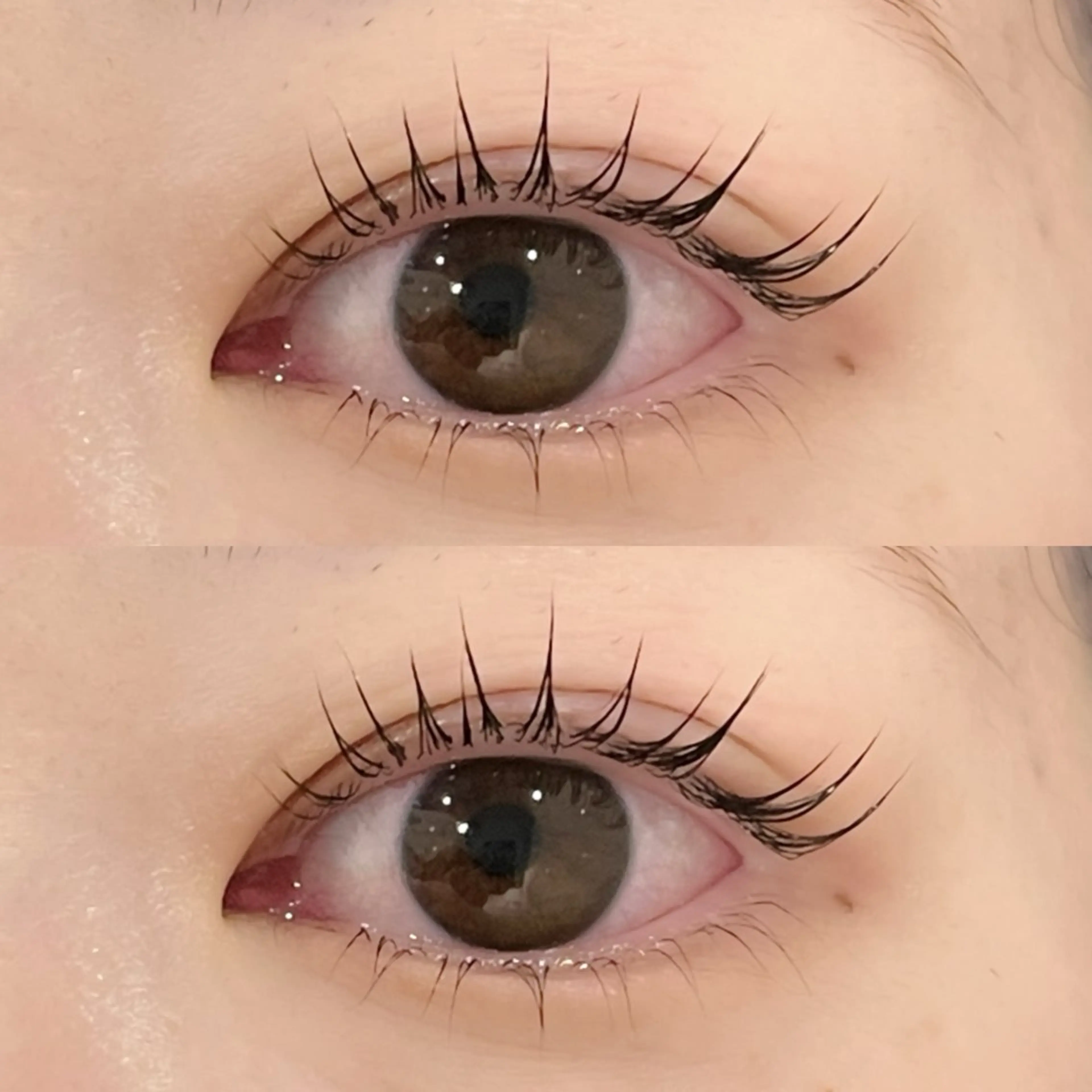 【新規】《set manu》アイブロウwax脱毛×ラッシュリフトorパリジェンヌ🛼／コーティング仕上げ付き🪞🪄︎︎の写真