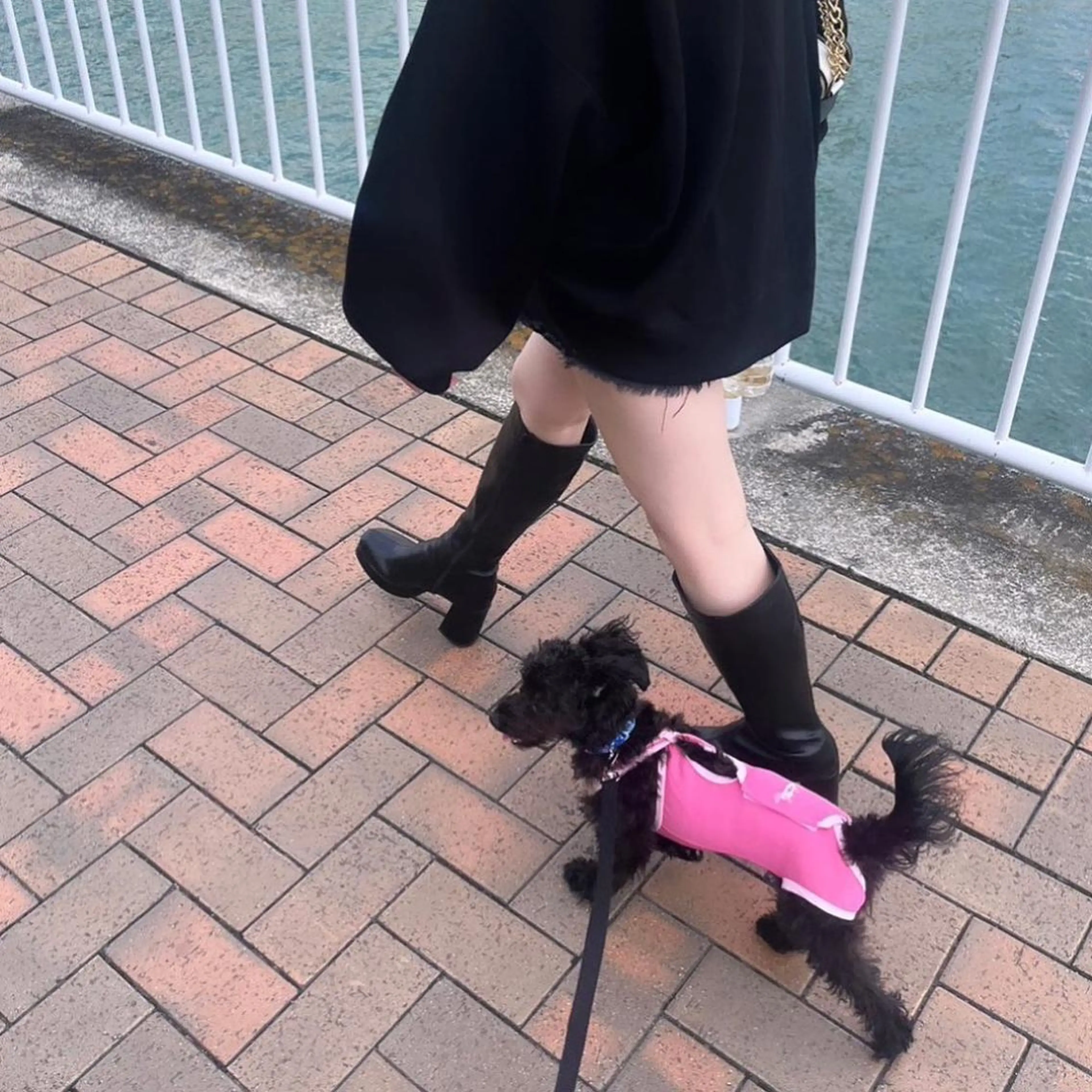 ミディアム カラー パーマ ヘアアレンジ メンズ 🩷Eny terrace🩷のヘアスタイル