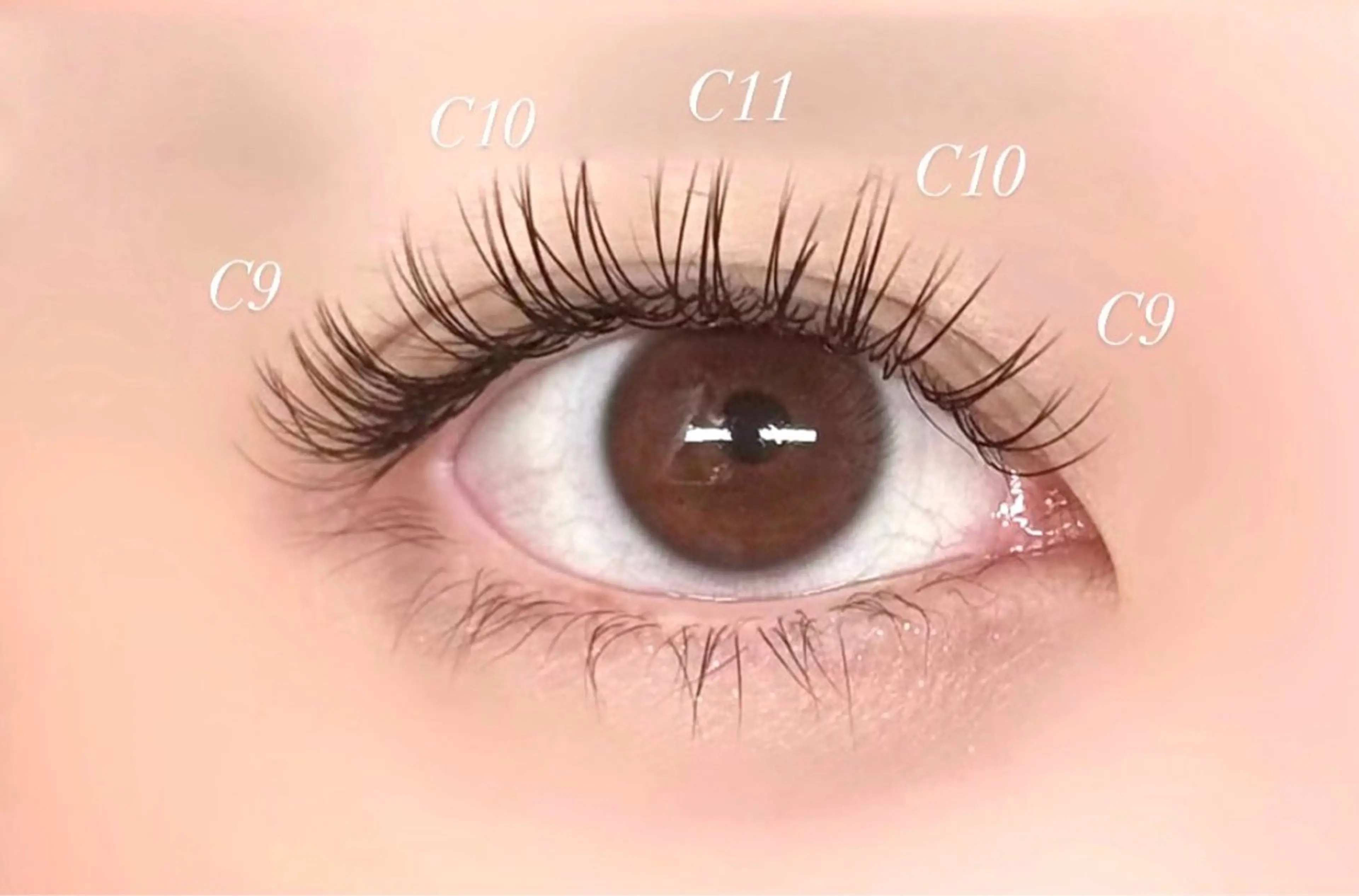 5月限定✨️【フラットラッシュ】80~100本の写真