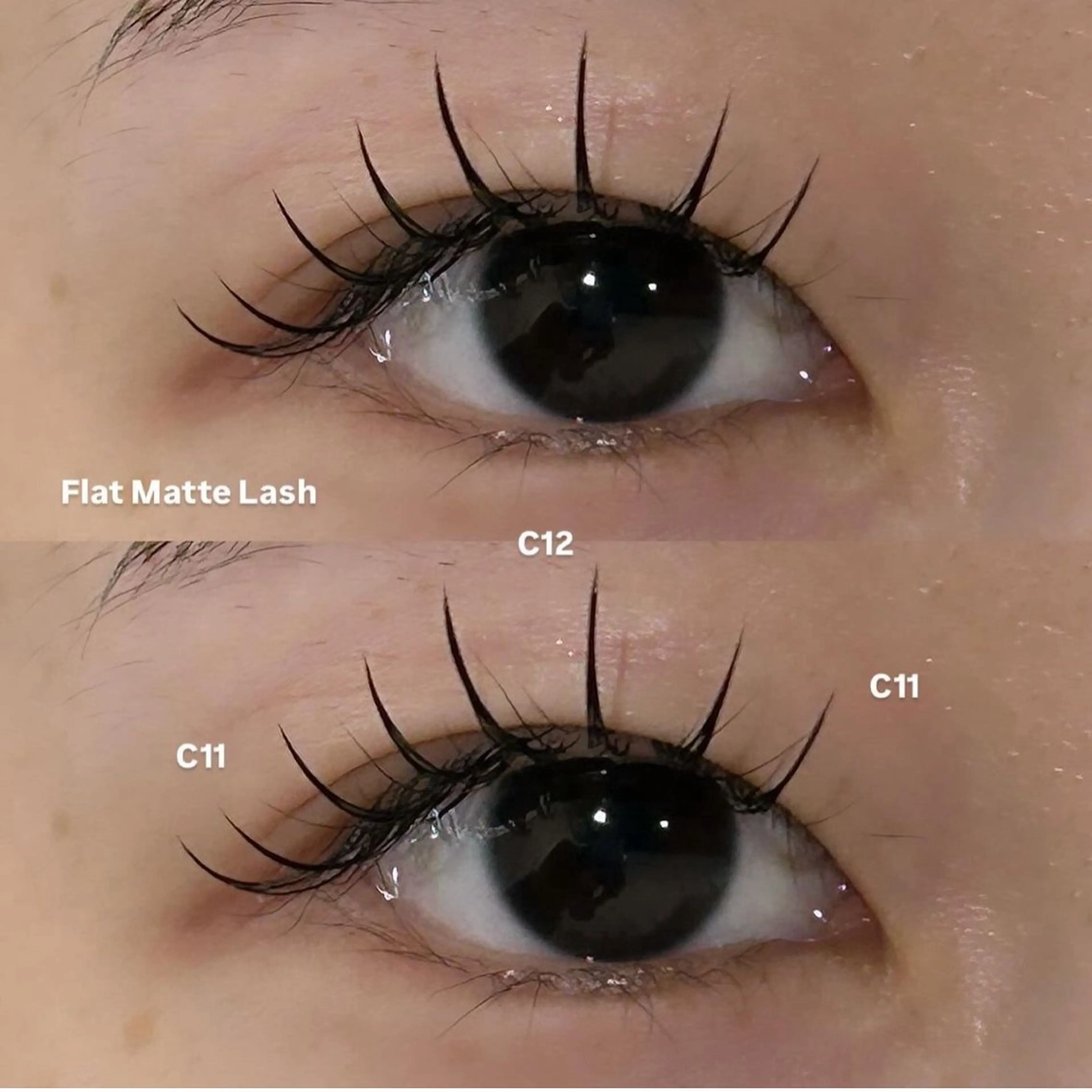 マツエク・マツパ マツエク 透明感ツヤカラー/ アイリスト/ゆきなのマツエク・マツパデザイン