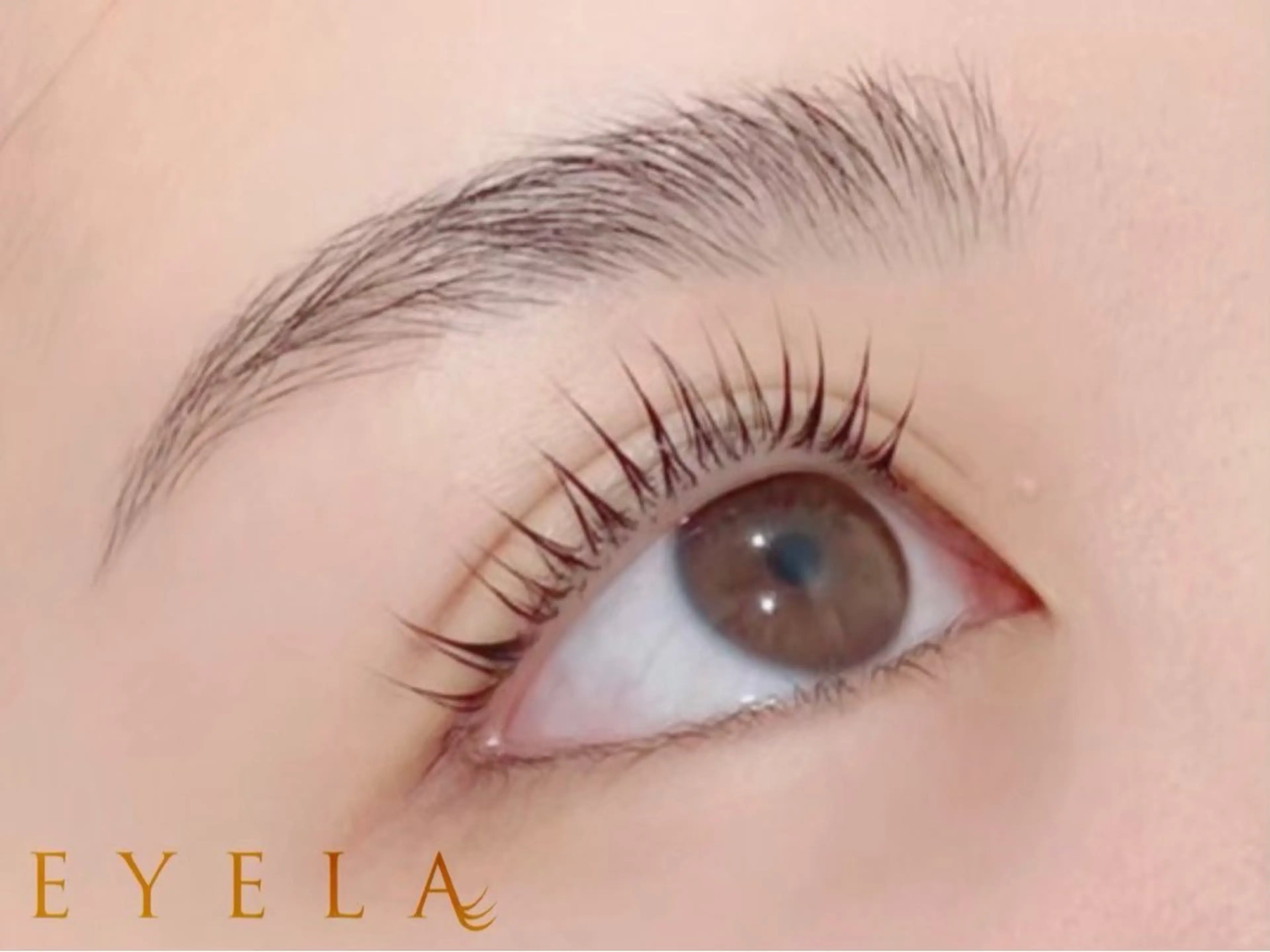 マツエク・マツパ EYELA🎀 玉山のマツエク・マツパデザイン