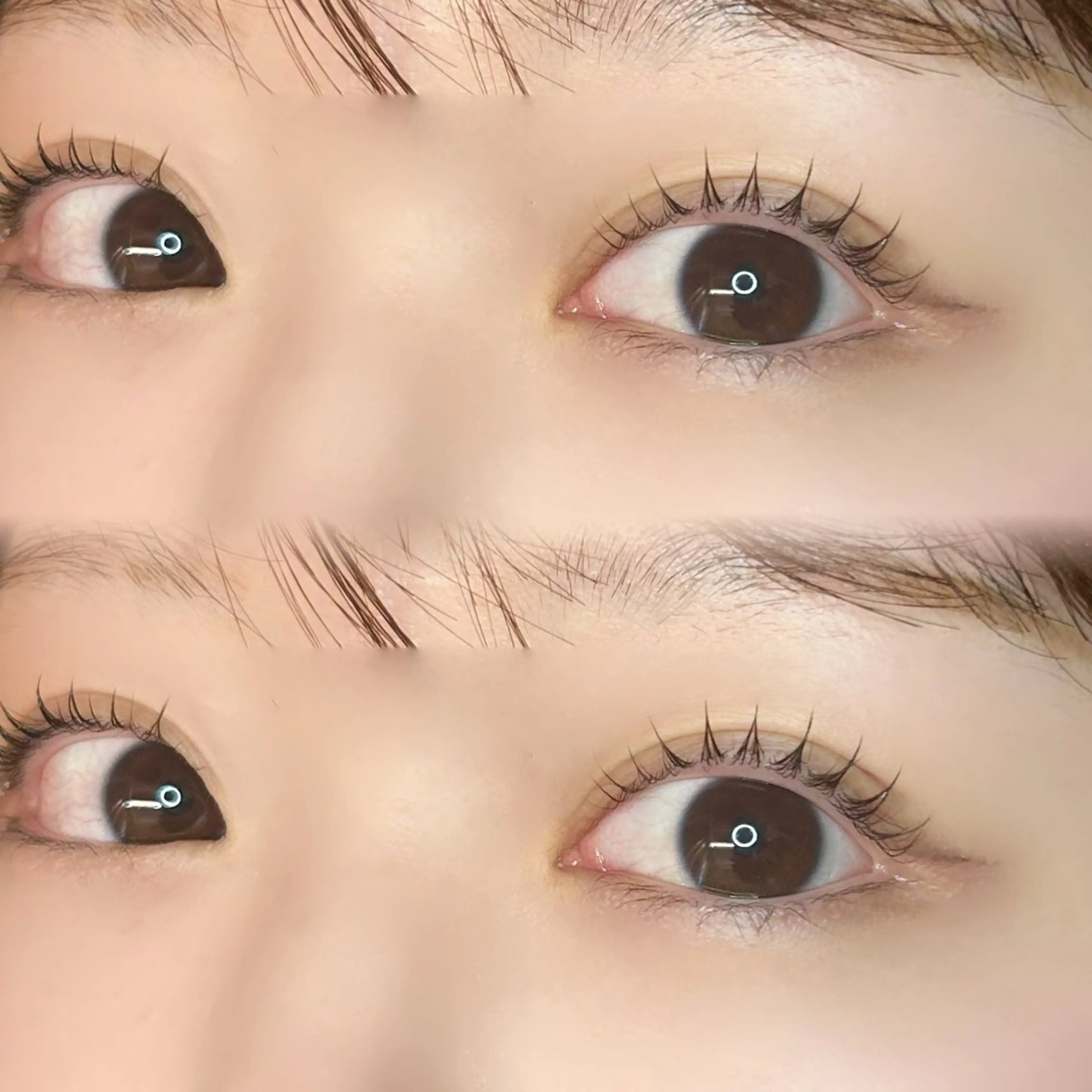 マツエク・マツパ 🍀fein. sakura🍀の眉毛・アイブロウイメージ