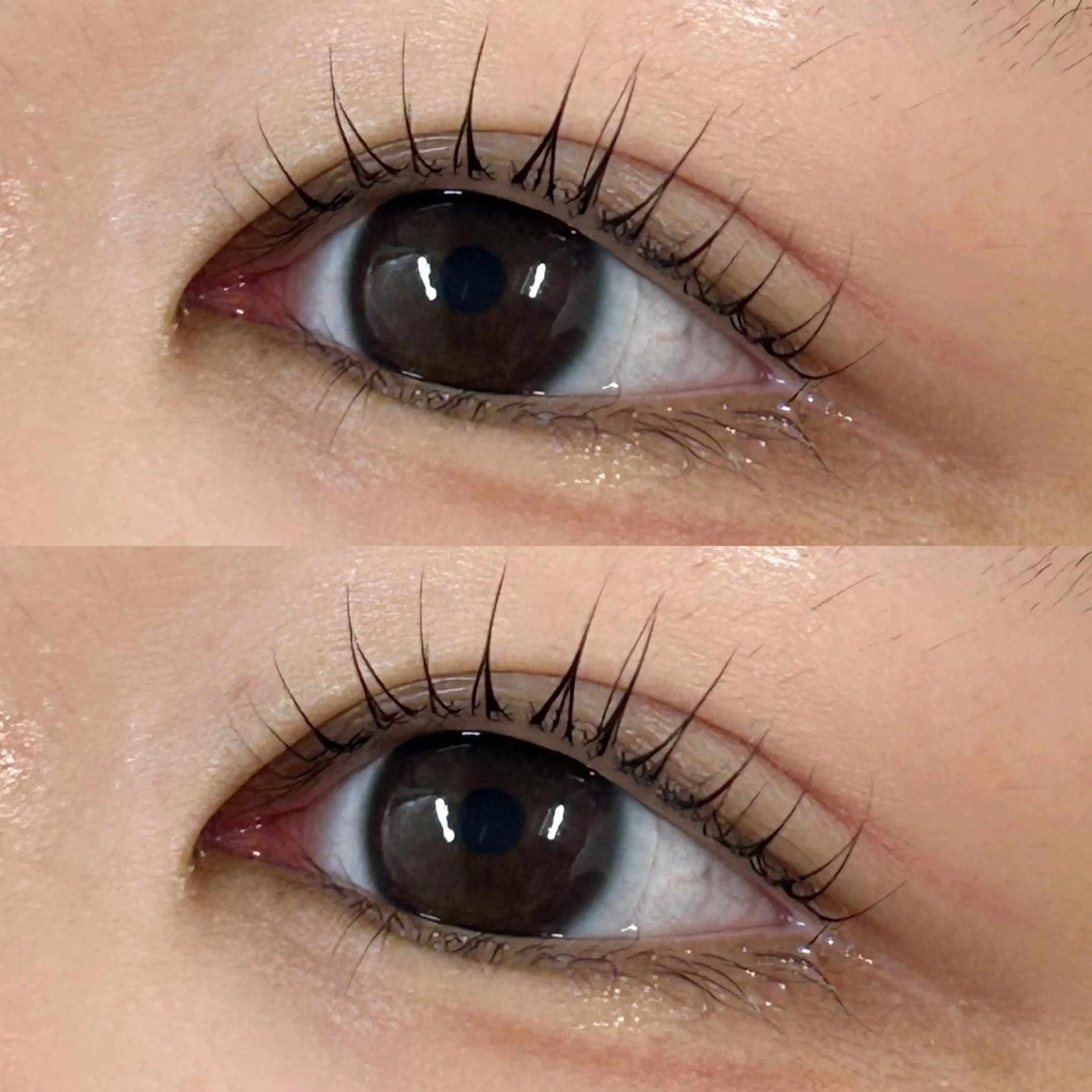 マツエク・マツパ 一重×まつ毛パーマ マツパ クレセントアイ MAIのマツエク・マツパデザイン