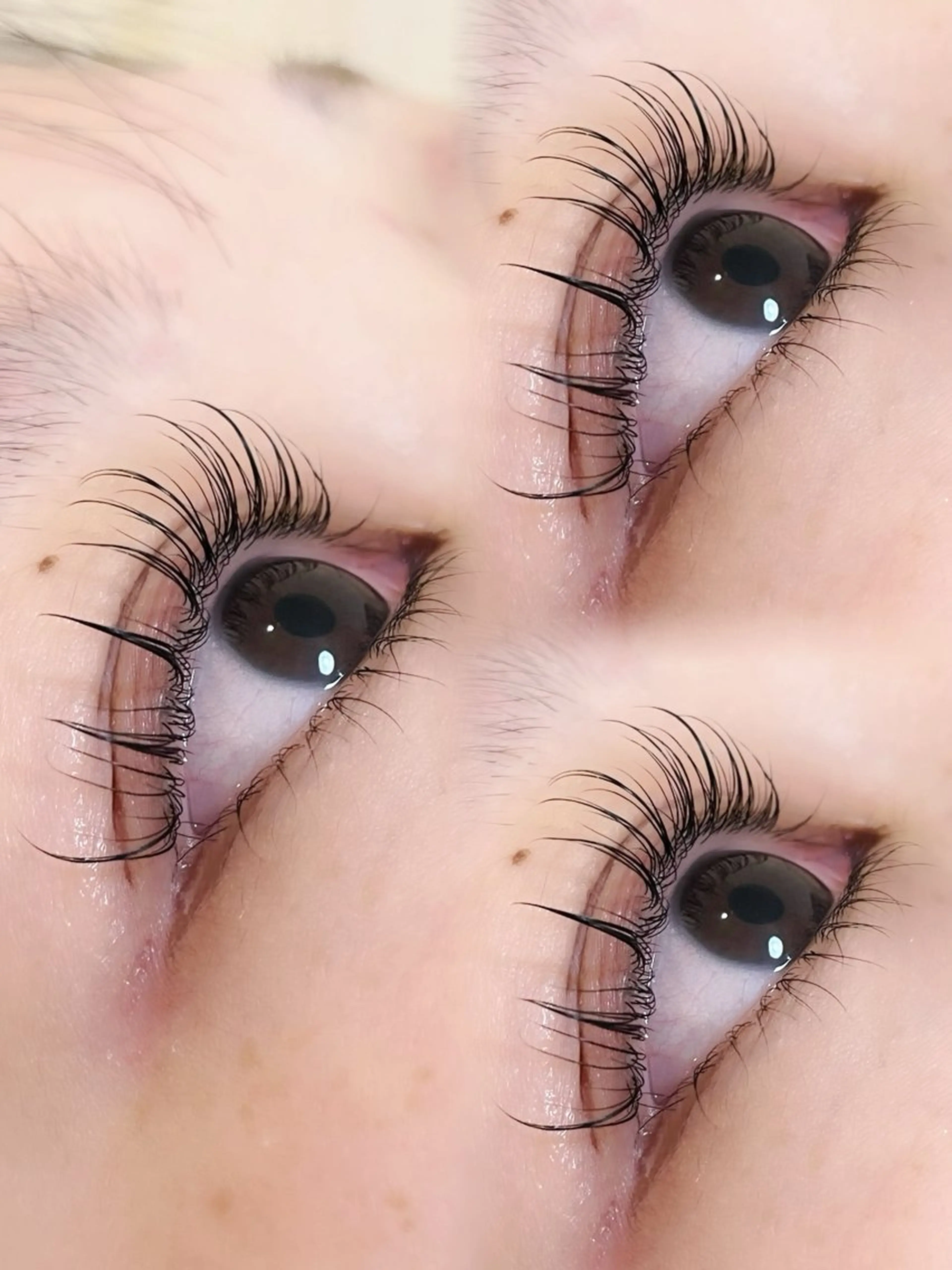 マツエク・マツパ マホ🐾 peep 蟹江店のマツエク・マツパデザイン