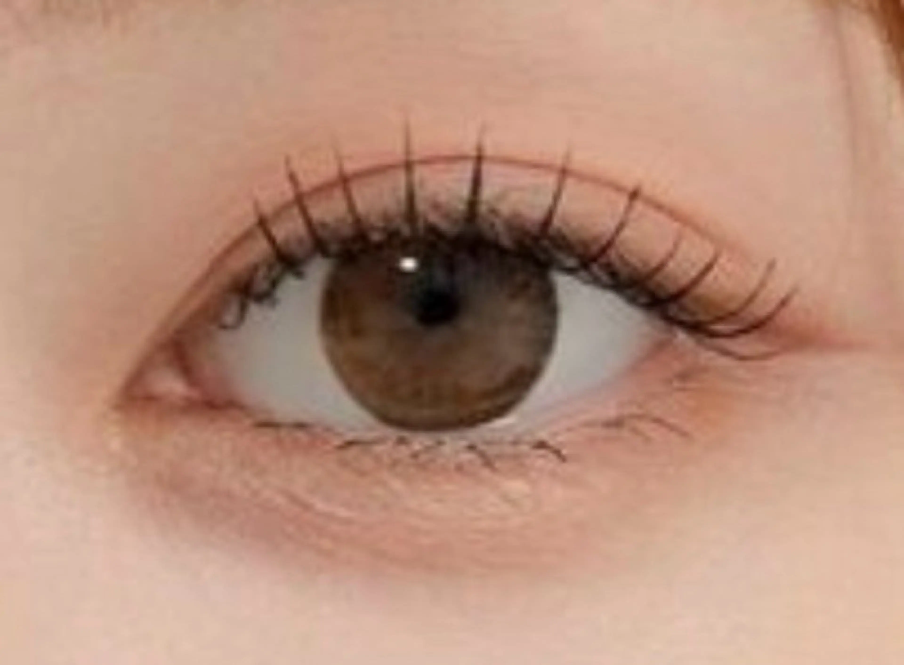 マツエク・マツパ パリジェンヌラッシュリフト 目元・まつパ・美肌フ ェイシャル谷町四丁目のマツエク・マツパデザイン