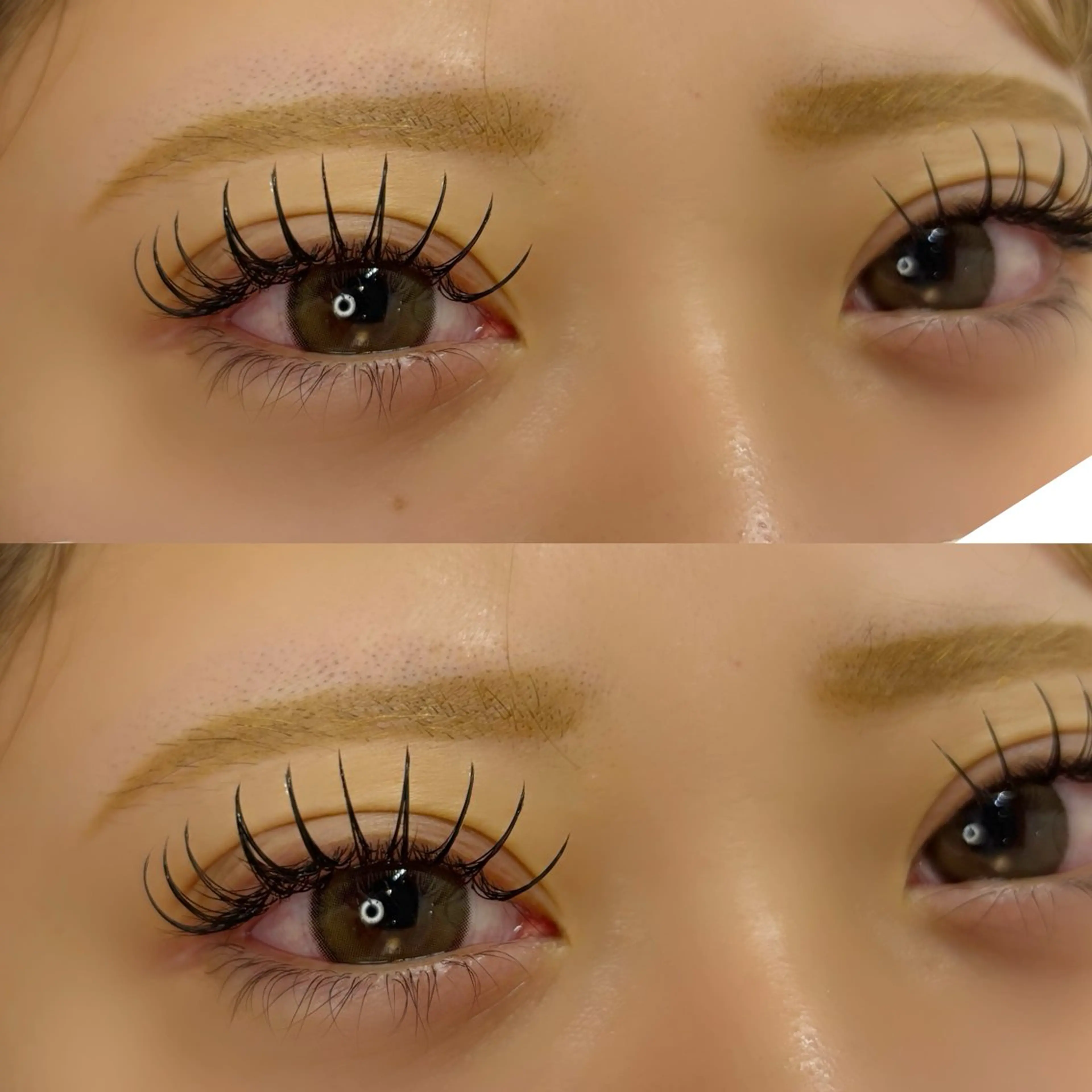 マツエク・マツパ Dカール フラットラッシュ Eyelash &nailartsalon Ali'i Hale所属・Ali'i YURIのマツエク・マツパデザイン