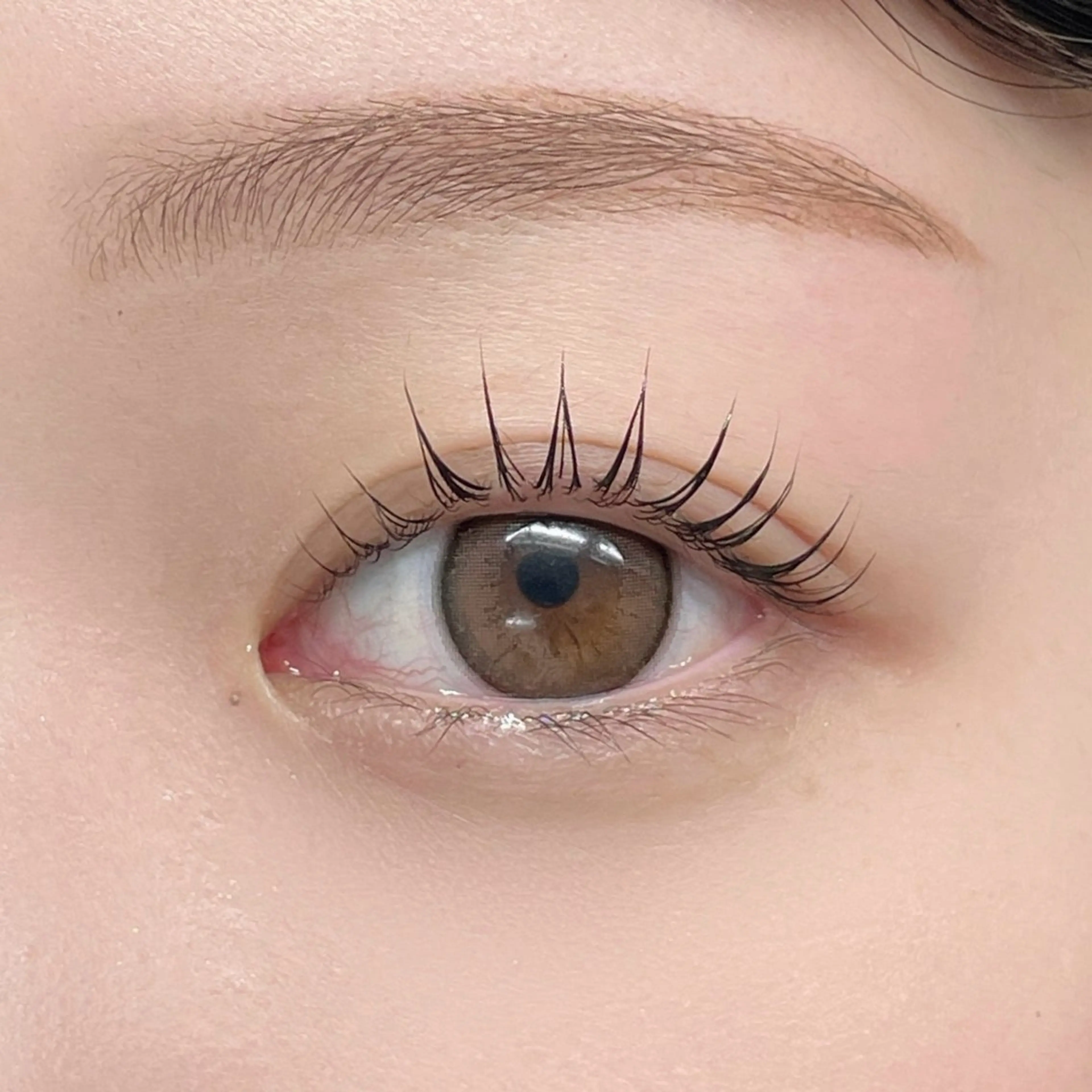 🩷垢抜けSET【まつ毛パーマ✖️アイブロウWAX脱毛】(HBL変更可能)の写真