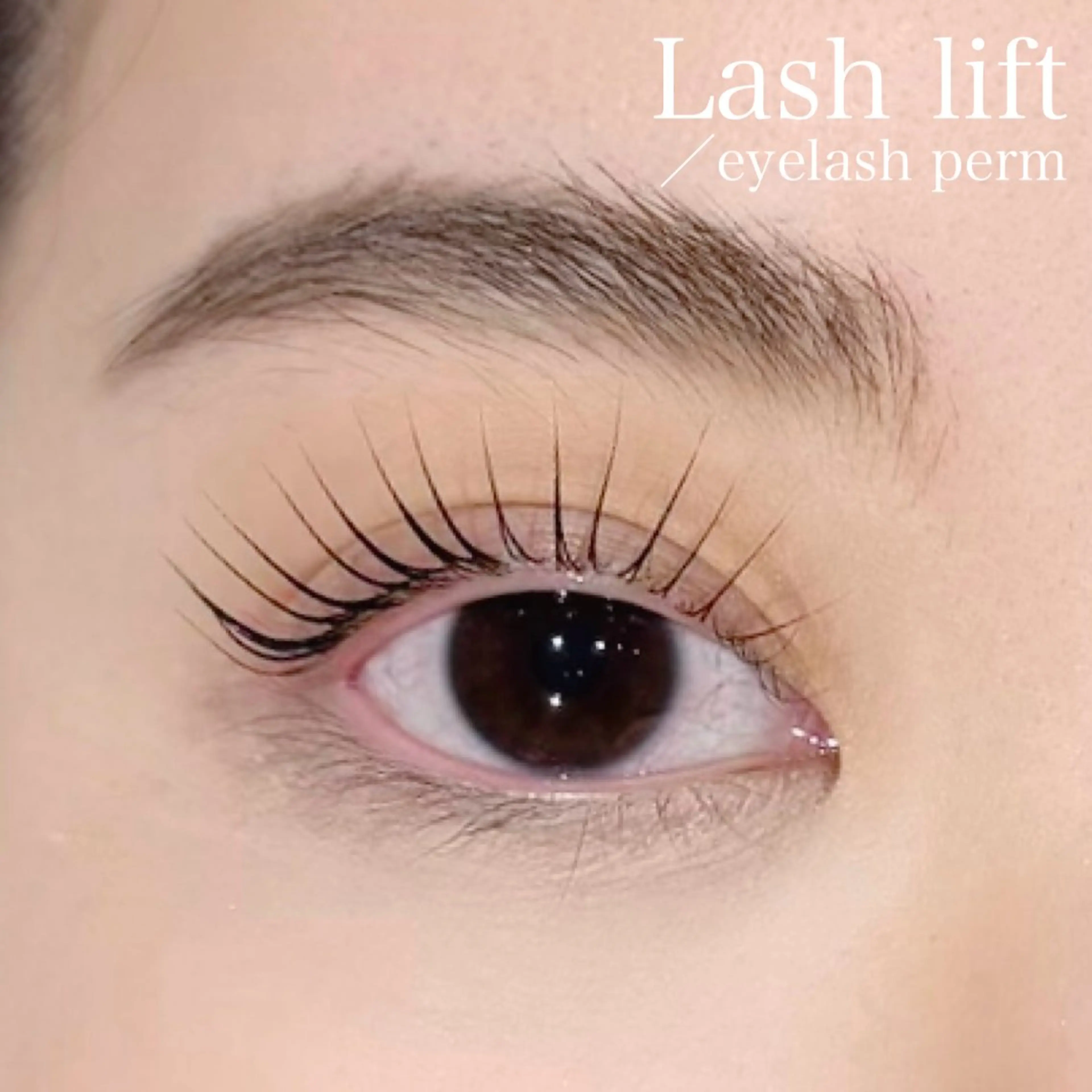 🧑🏻‍🎓学割U24🧡【まつげパーマ/ラッシュリフト】コーティング付🪄の写真