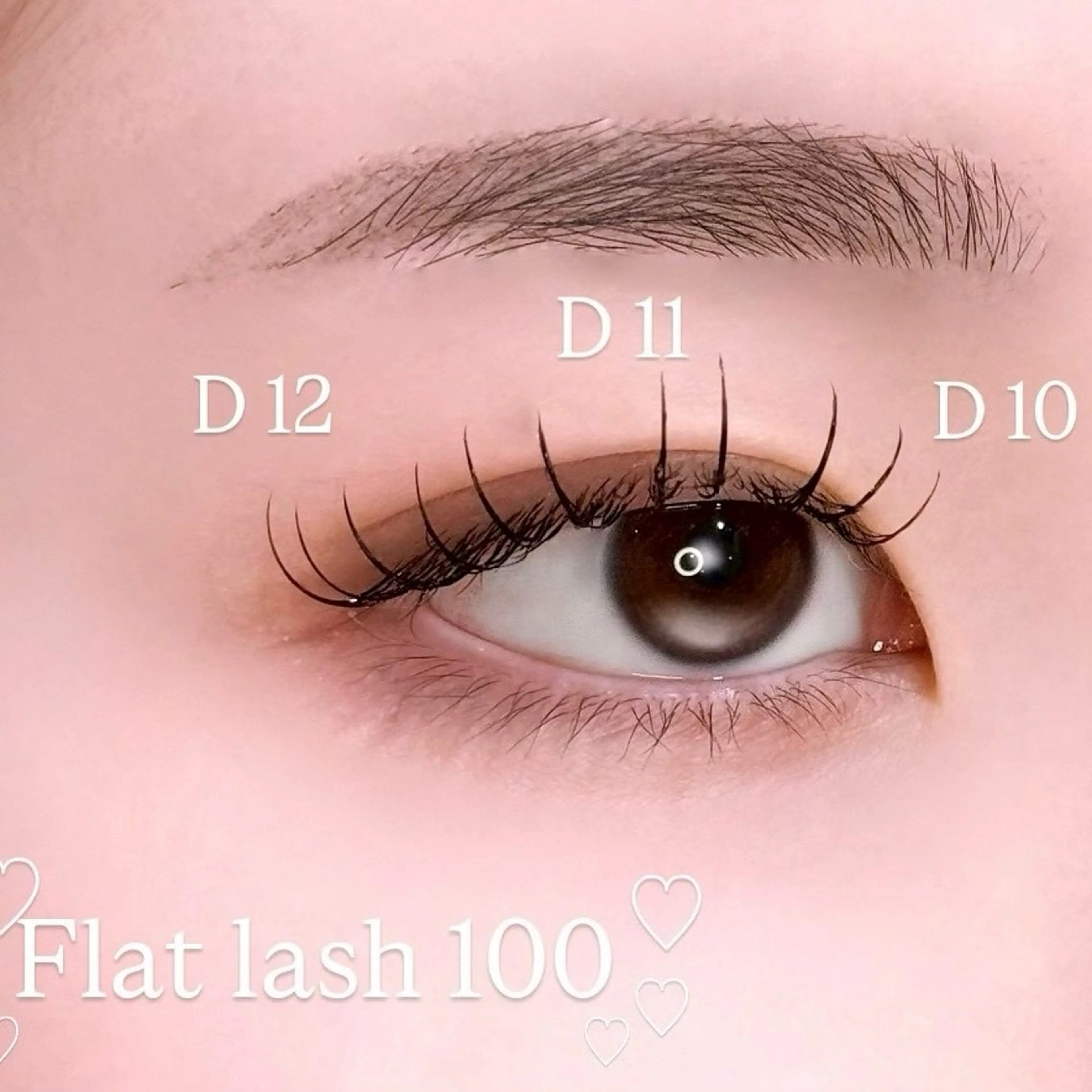 💫無料エクステモデル セーブル80​〜​100 14:00 15:00 16:00 17:00限定💫⚠︎エク残りNGの写真