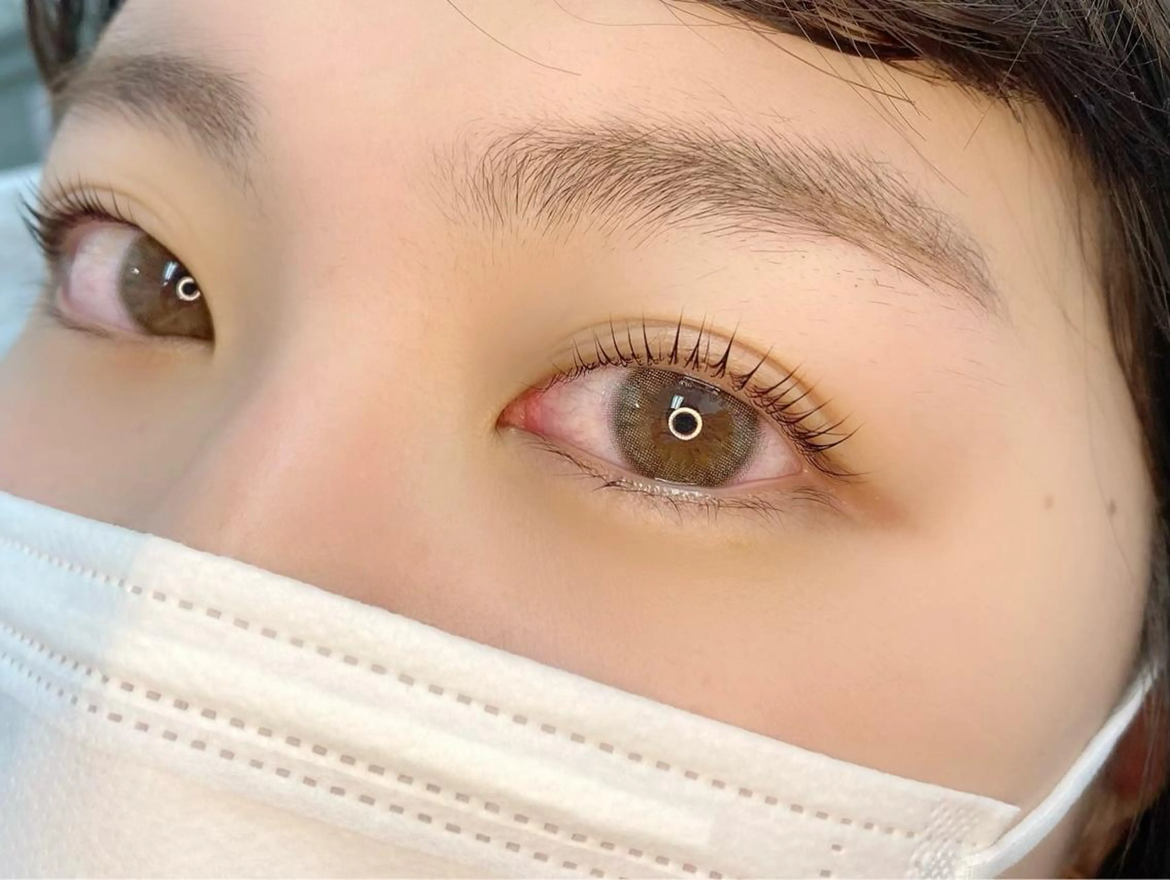 マツエク・マツパ パリジェンヌラッシュリフト LAND【ランド】 小鹿のマツエク・マツパデザイン