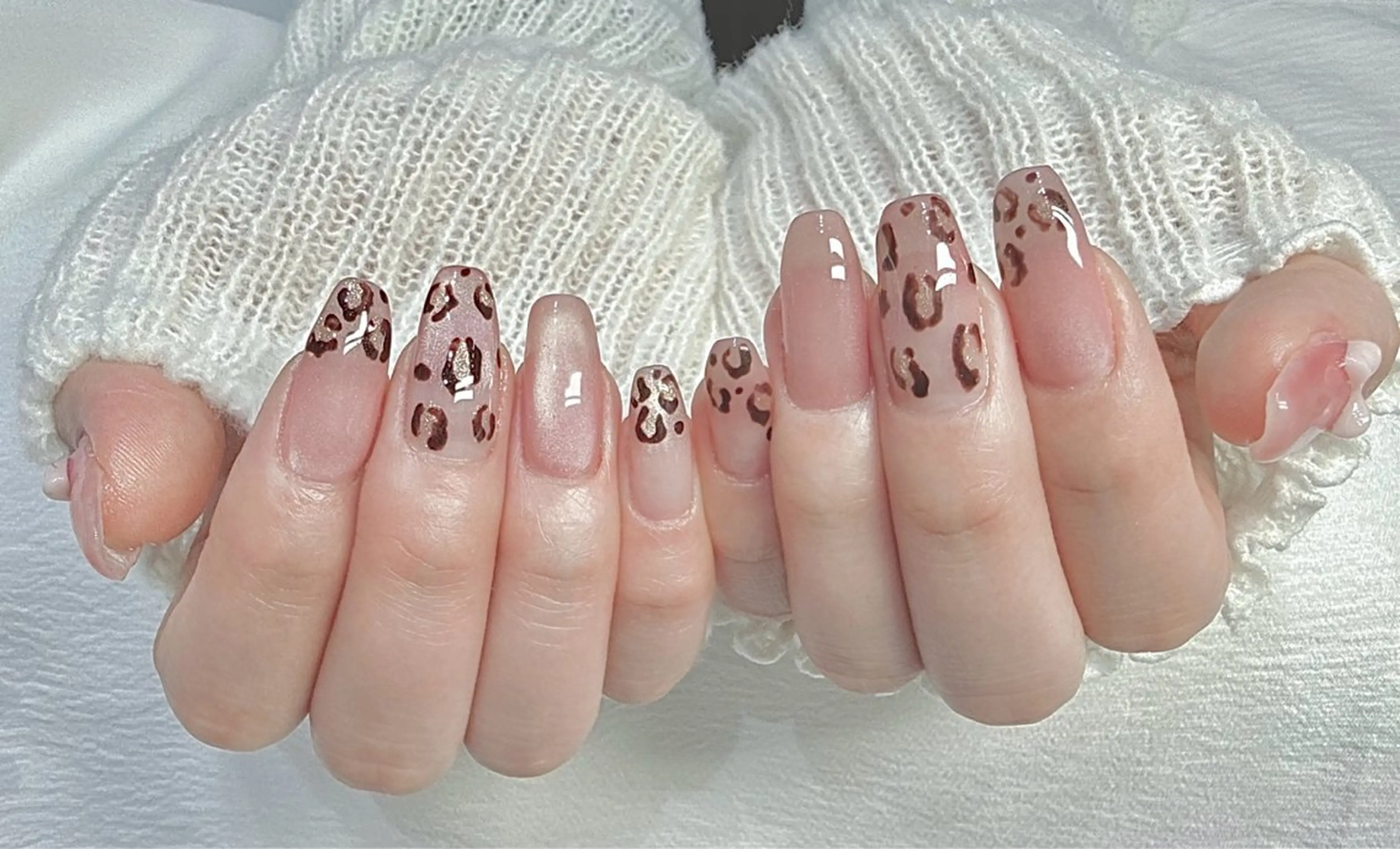 韓国ちゅるん×大人レオパード🐆💅（オフ無料）の写真
