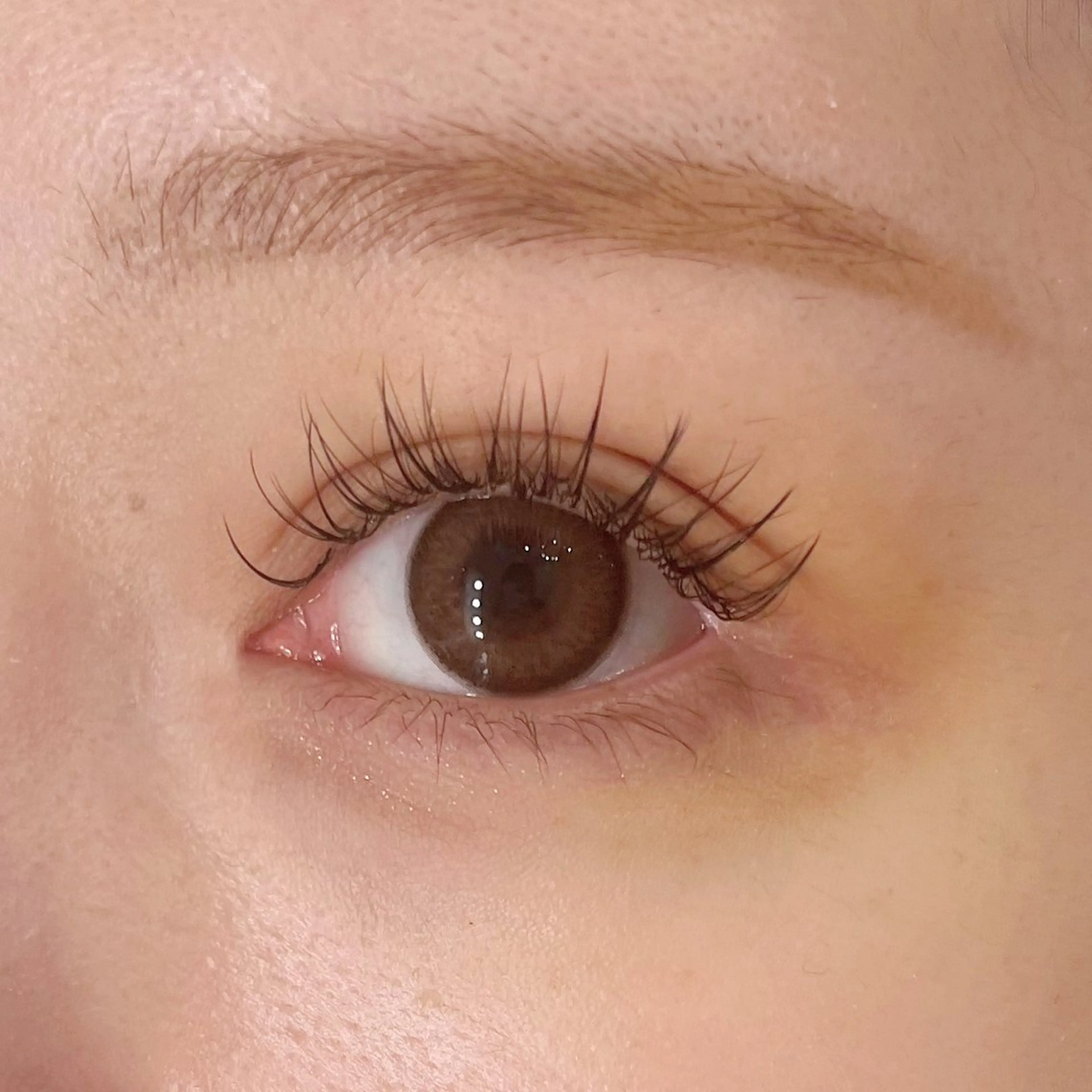 マツエク・マツパ Arona所属・Arona / mizukiの眉毛・アイブロウイメージ